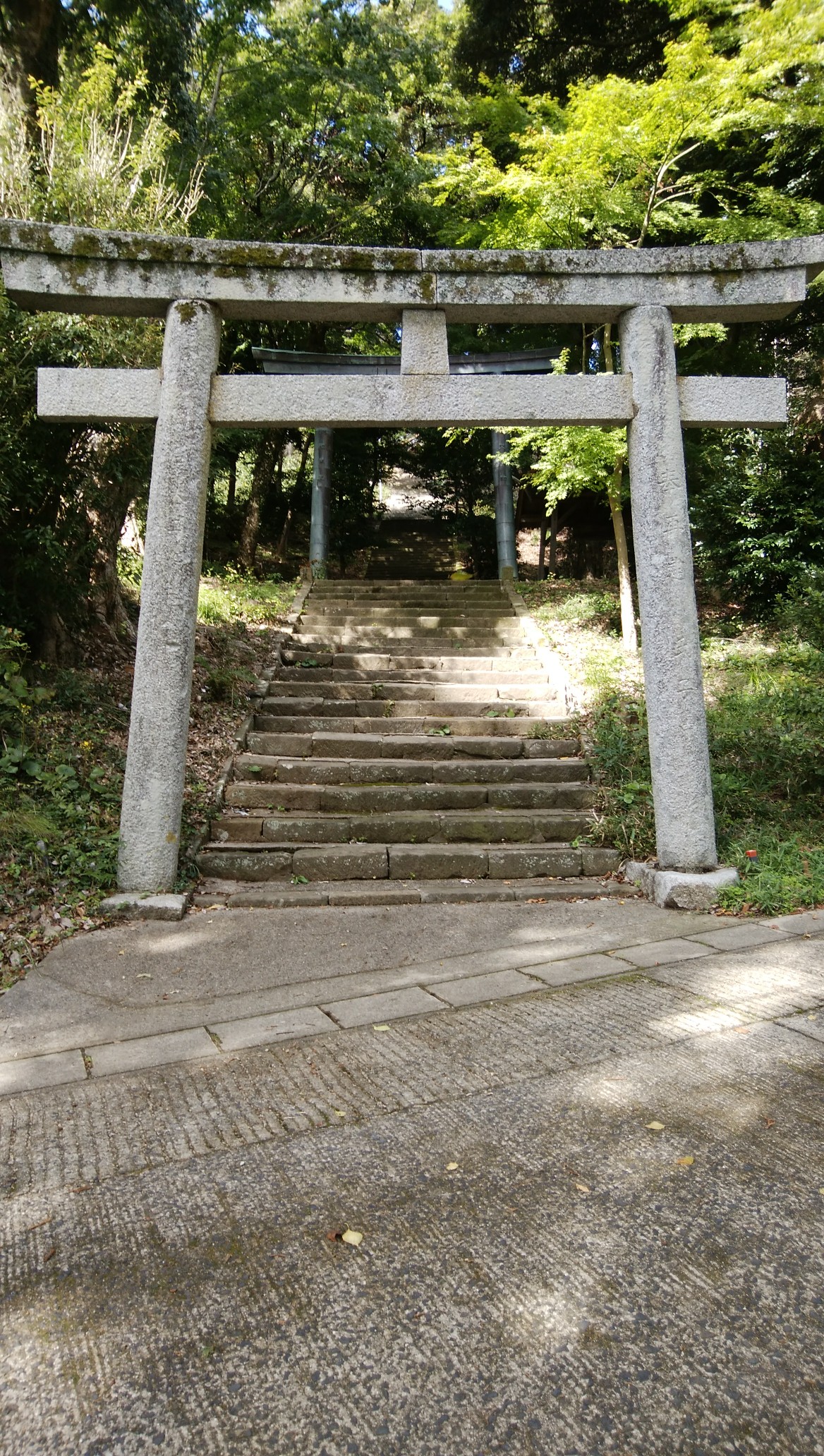 鼻高山536 3 朝村社跡 鼻高山東稜 さんちょｔｂさんの鼻高山 弥山 旅伏山の活動日記 Yamap ヤマップ