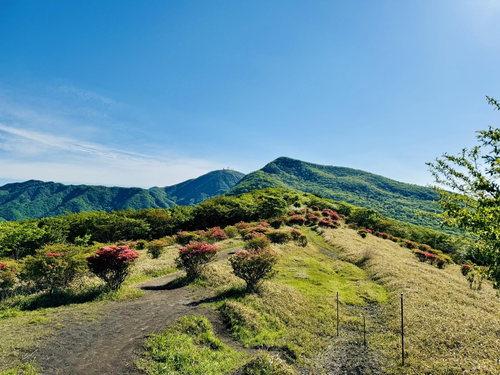 ここの景色はいつも最高！