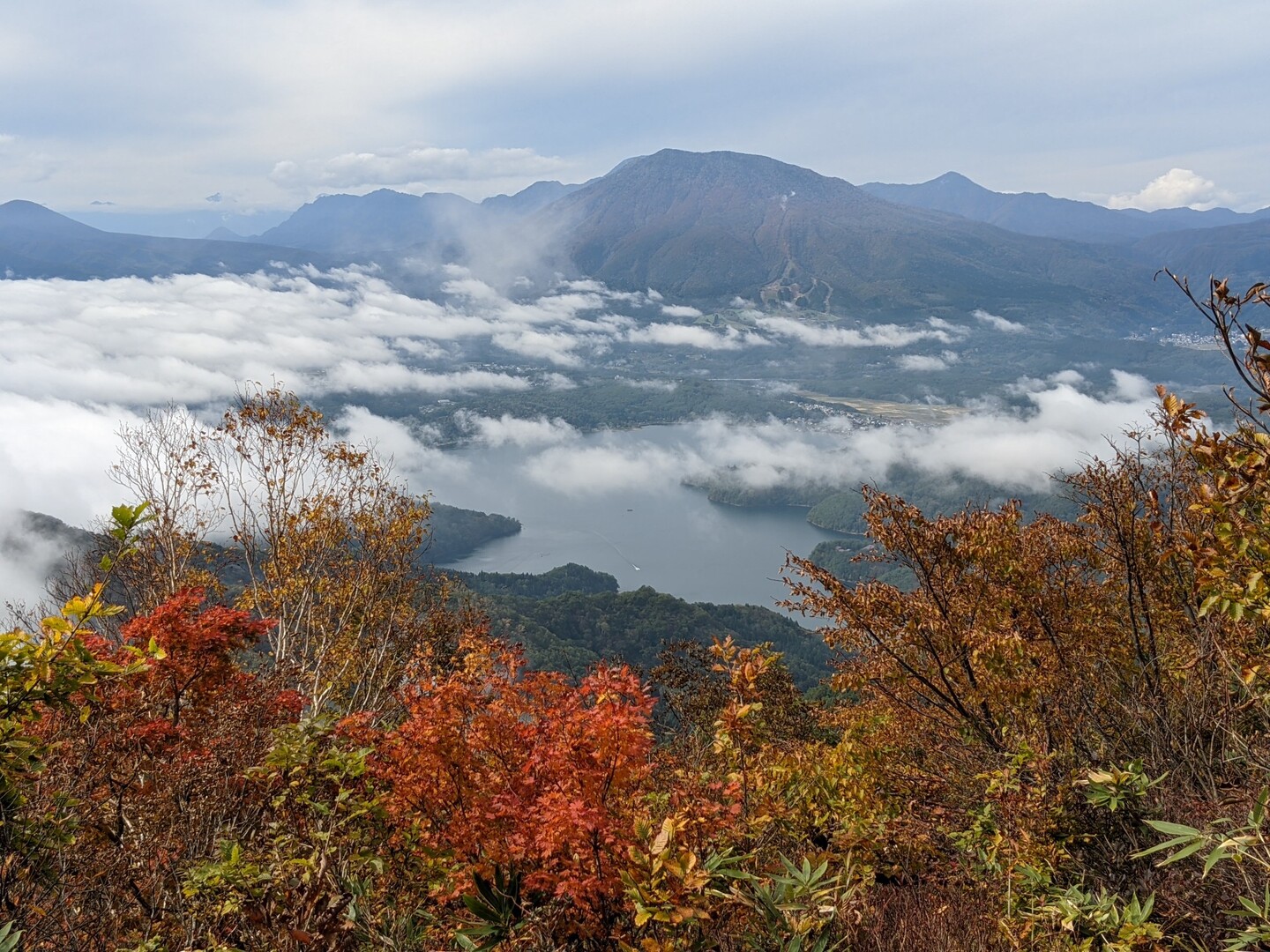 キノコと雲海 斑尾山 / satosacafeさんの斑尾山・信越トレイル（斑尾山