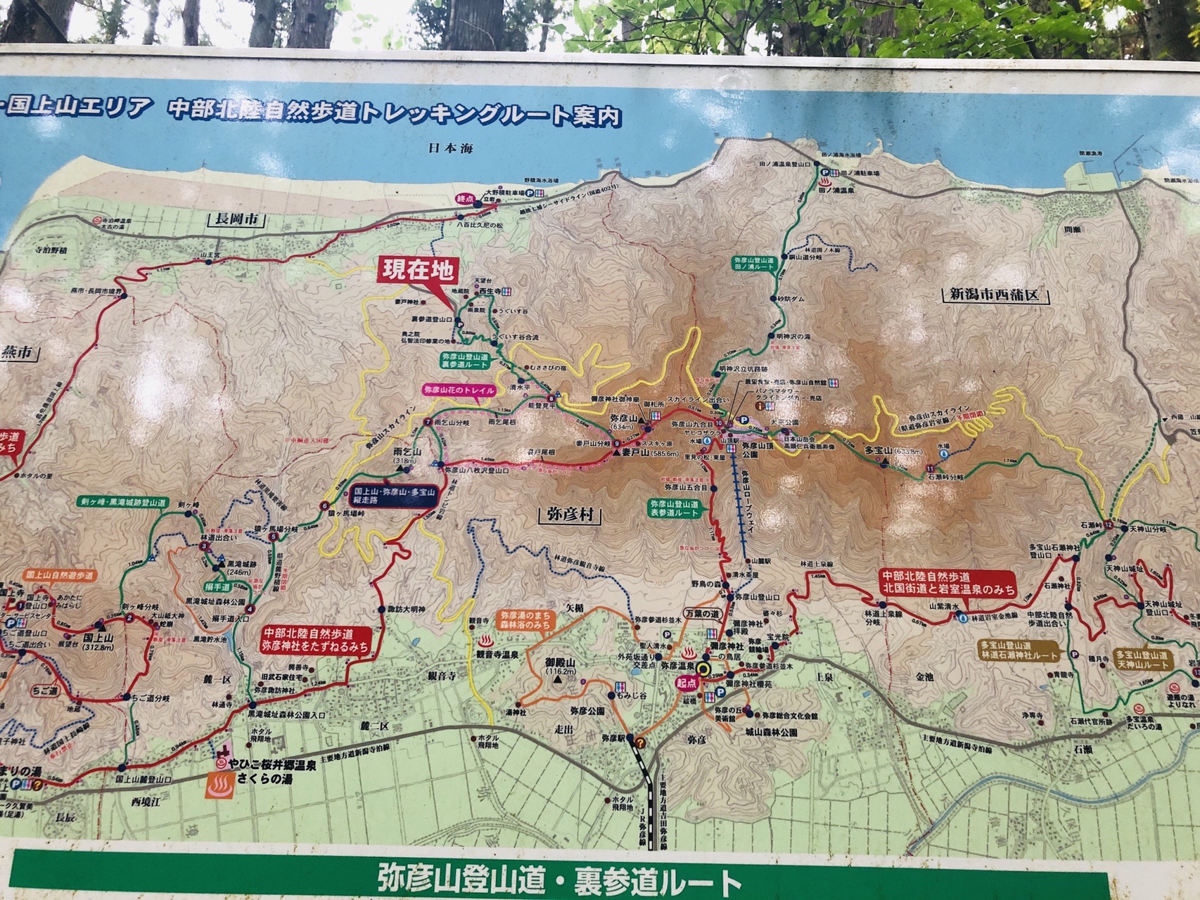 弥彦山 裏参道コース けいさんの弥彦山 多宝山 雨乞山の活動データ Yamap ヤマップ