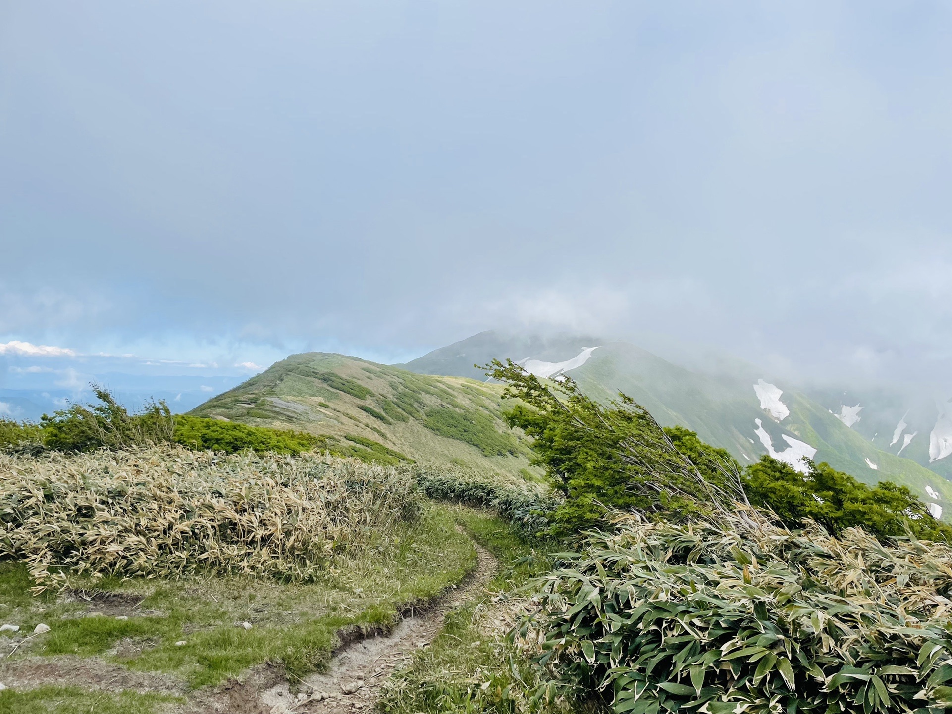 縦走路に出るっぽい！？