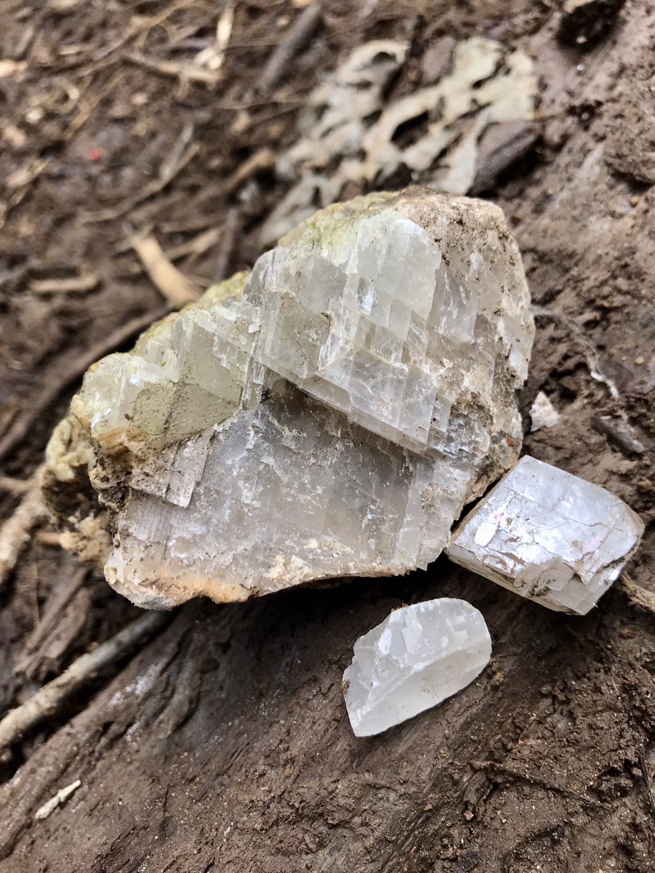 両神山 諏訪山 二子山 10 05 Misorasoさんの両神山 諏訪山 二子山の活動日記 Yamap ヤマップ