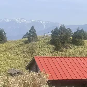 ここから約10分の山頂は何度も行っているので今日は行かずに定番の構図で写真を撮って下山します。
今日の南木曽岳はコース料理で言うと前菜で、メインディッシュは下山後に向かう花桃の風景です🌸