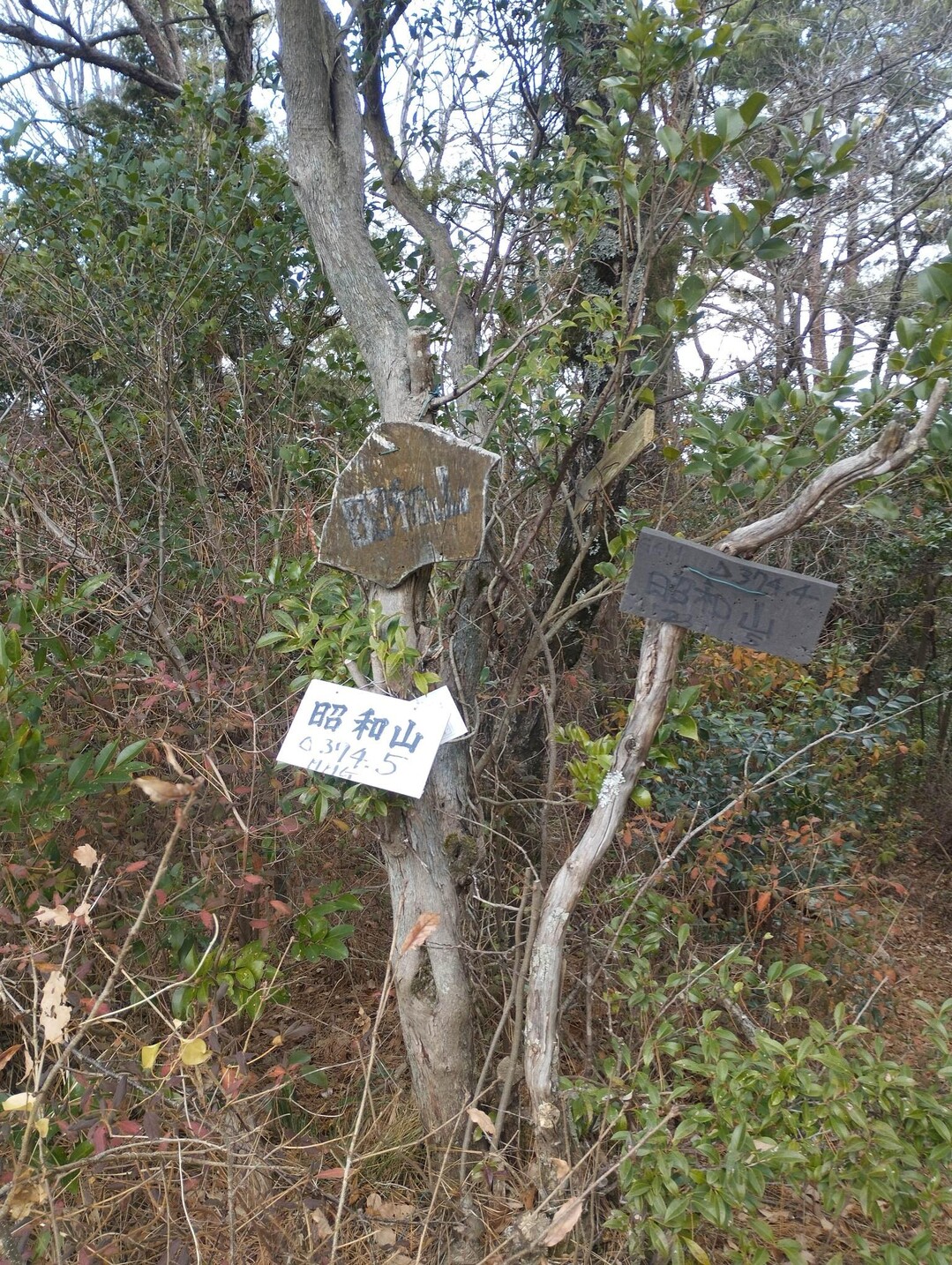愛宕山・根来山・上朽仏山・後山・ボンデン山・昭和山 / 大阪城公園のたけさんの紀泉アルプス・飯盛山・ボンデン山の活動データ YAMAP
