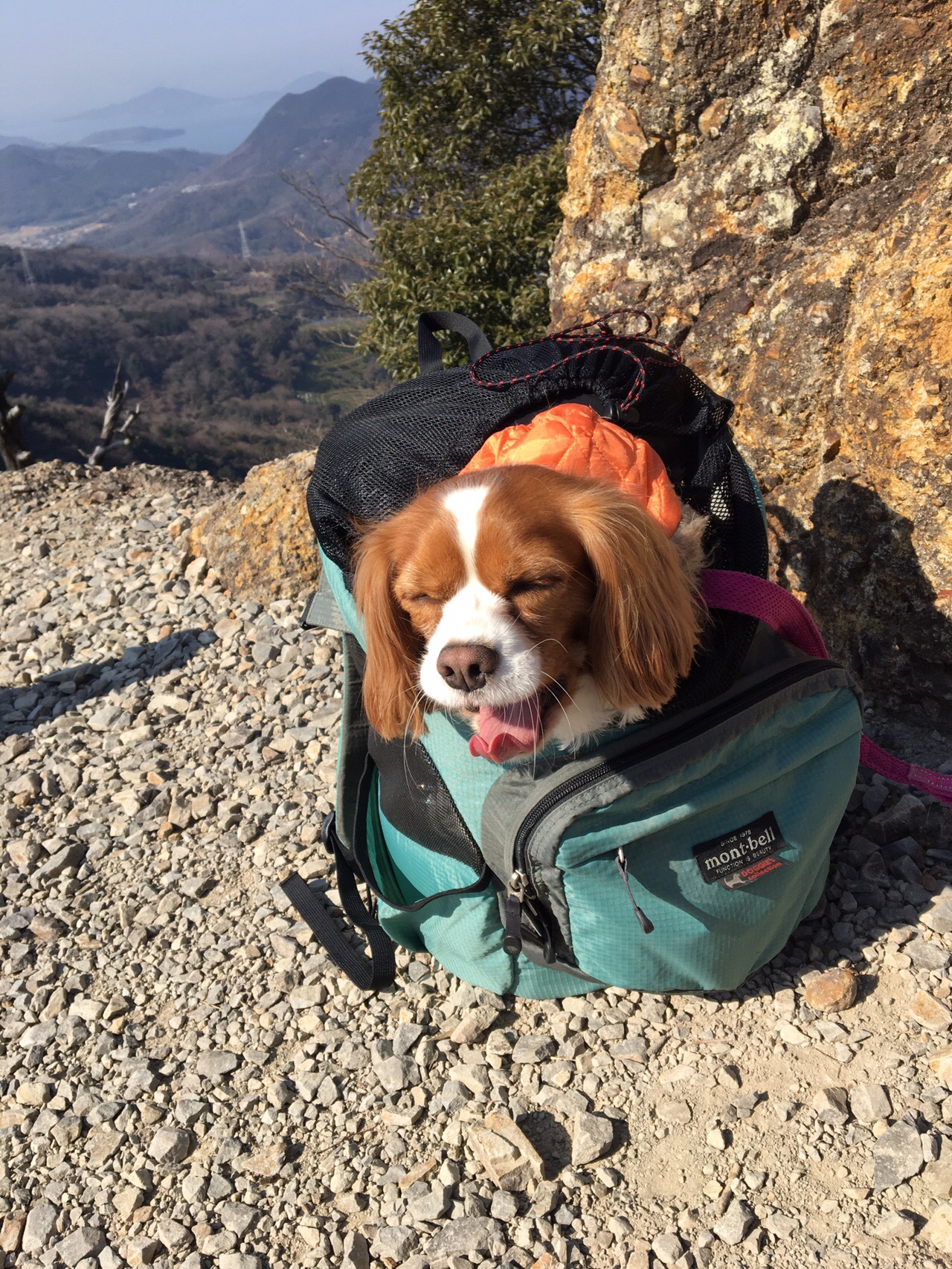 善通寺五岳山 空海トレイル 動画 The Blue Hearts 1000のバイオリン 19 01 30 シンジさんの善通寺五岳山 空海トレイルの活動日記 Yamap ヤマップ