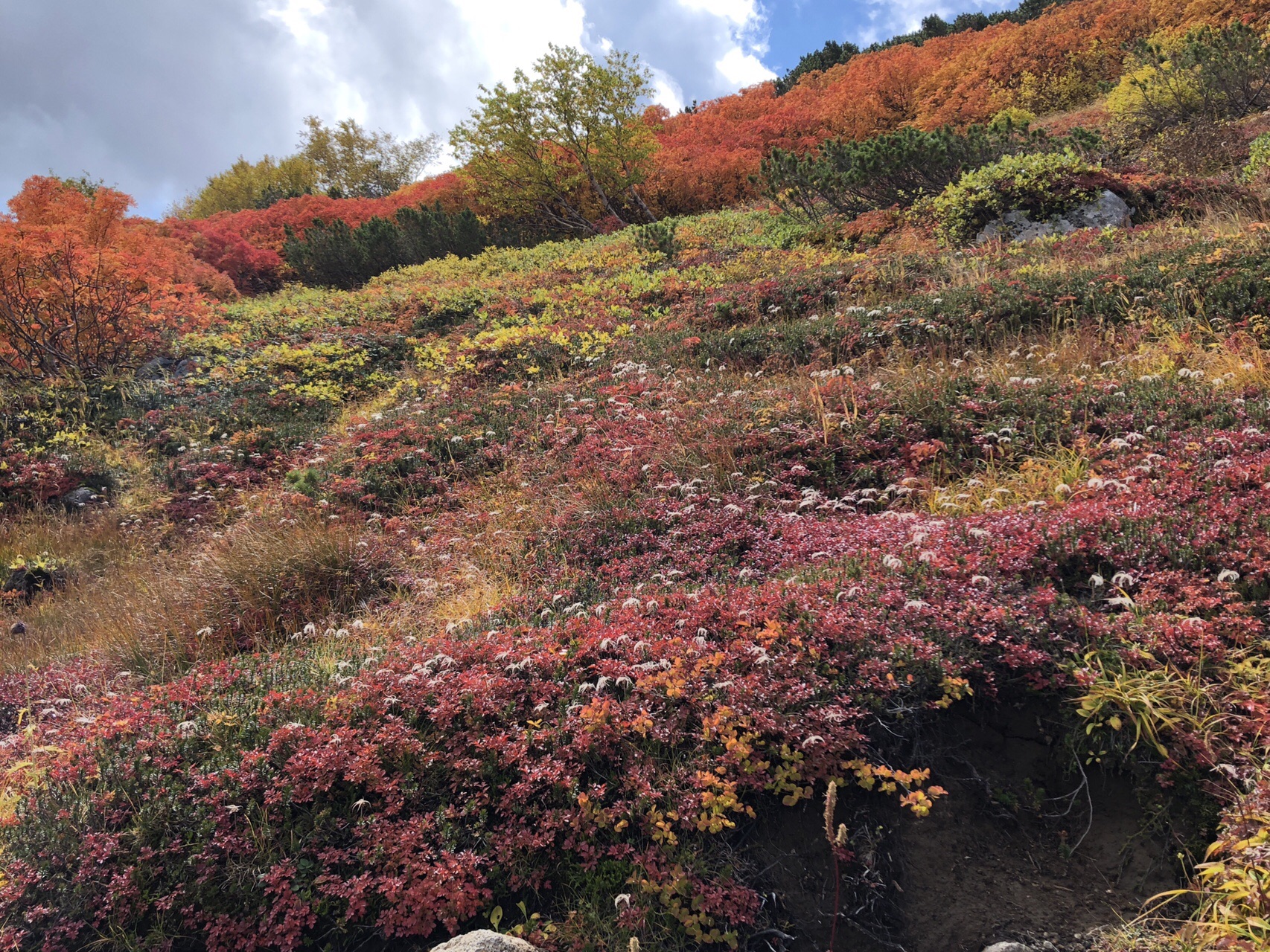 銀泉台 赤岳 紅葉18 マーリーさんの大雪山系 旭岳 トムラウシの活動データ Yamap ヤマップ