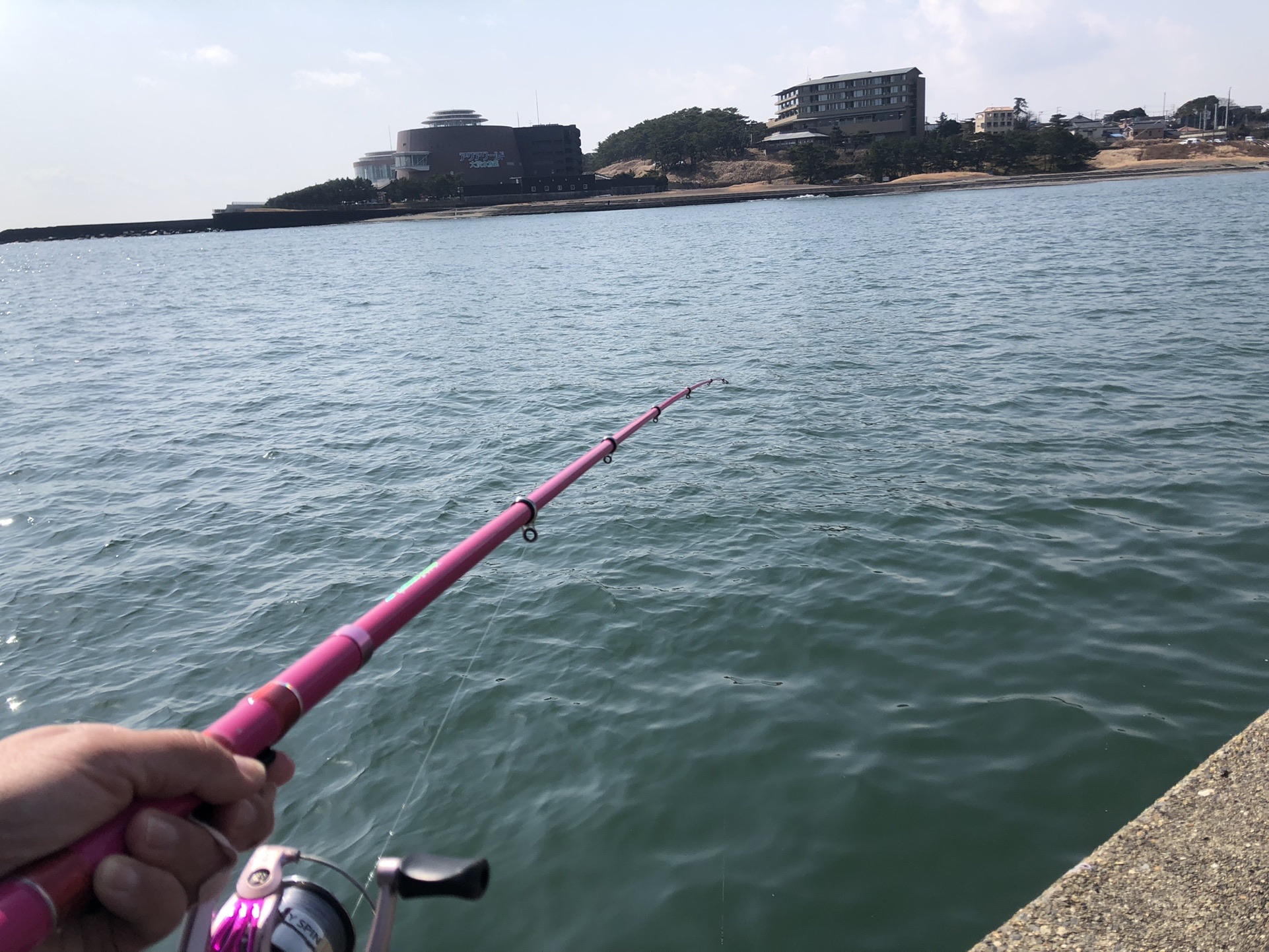 今日は海へ 那珂湊で稚鮎釣り こしこし さんのウォーキングの活動データ Yamap ヤマップ