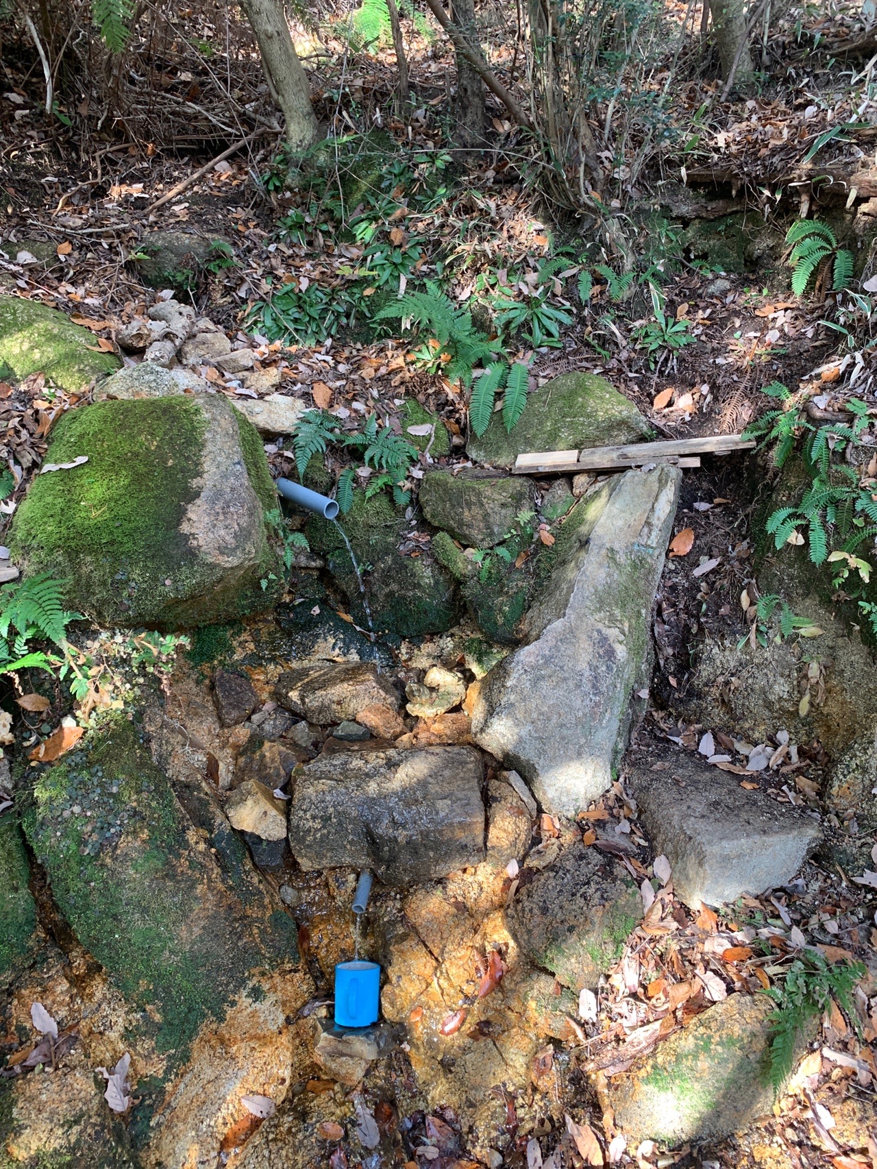 六甲山麓へ水を汲みに ウグイス広場とアカシヤ尾根 振辛奈さんの六甲山 長峰山 摩耶山の活動日記 Yamap ヤマップ