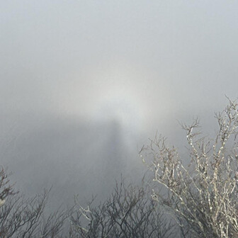 山好きとんかつや