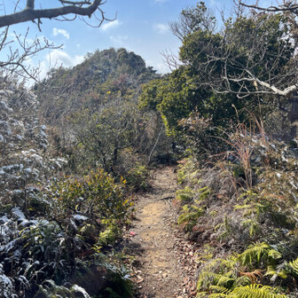 御伊勢山・雨乞山・相原山 山頂部が見える快い尾根道(寒く無ければ…🥶)
