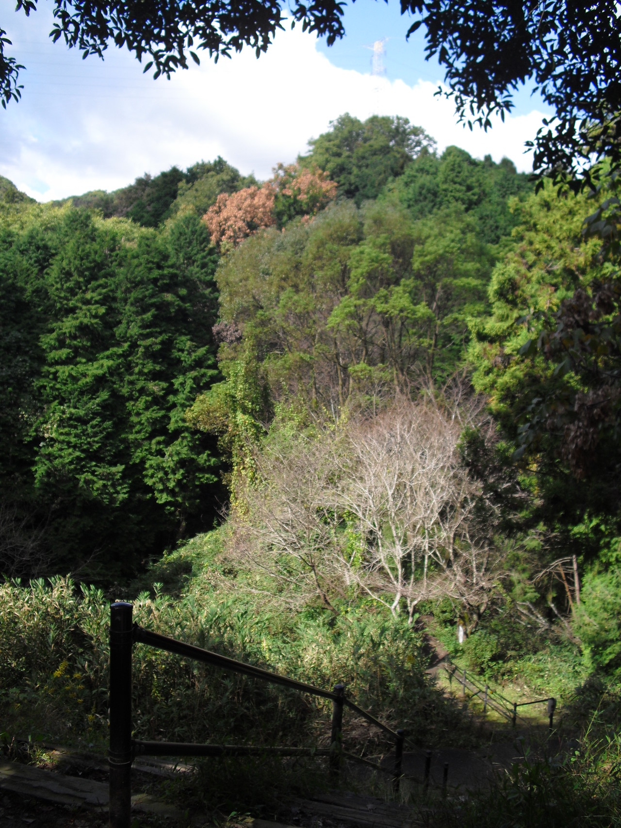 東信貴鋼索線跡 信貴山 高安山 恩智神社 わださんの生駒山 神津嶽 大原山の活動日記 Yamap ヤマップ