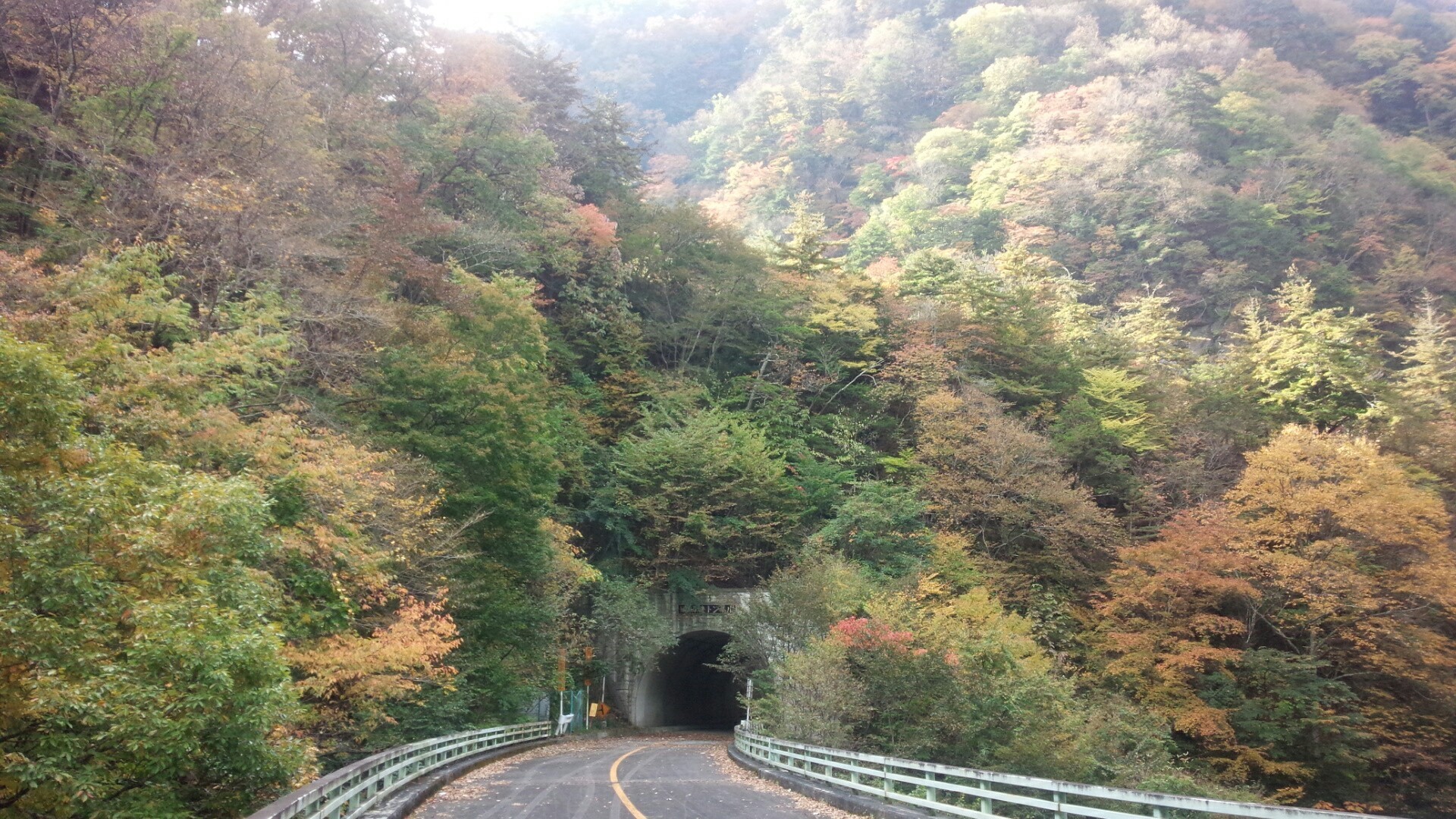 瑞牆湖 瑞牆山麓紅葉めぐり トミーさんの茅ヶ岳 金ヶ岳 太刀岡山の活動日記 Yamap ヤマップ