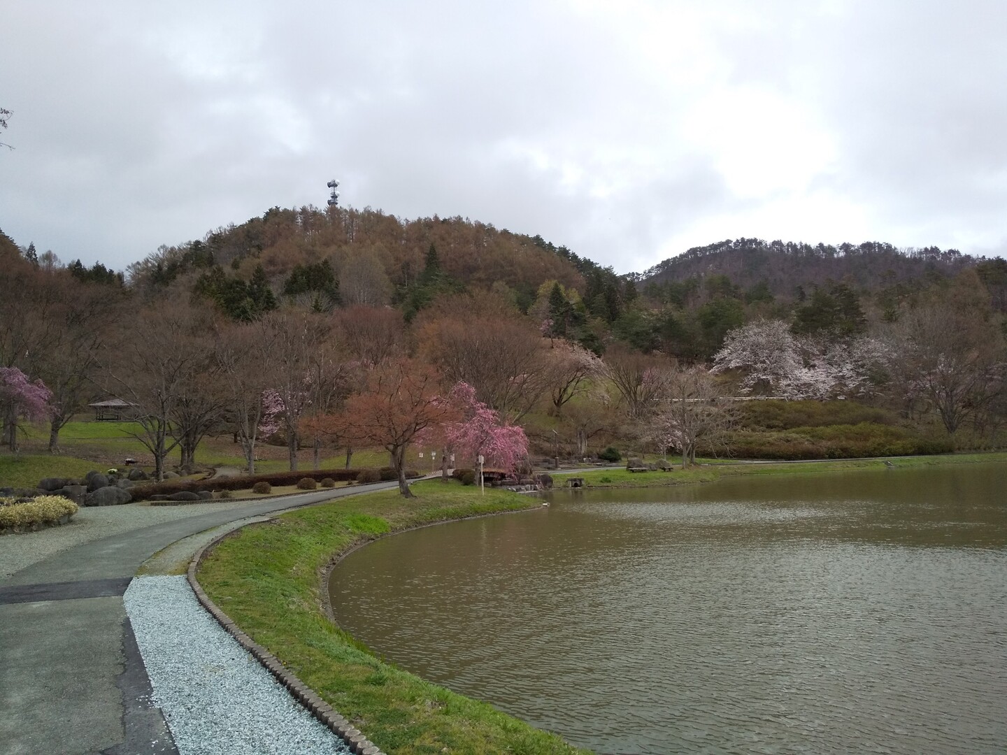 堂ノ前公園 花見🌸ついで / solo diceさんの甑岳・楯山の活動データ YAMAP / ヤマップ
