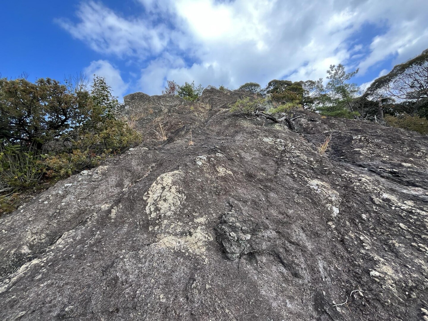 武嶋山（3時間で何コ登れるかチャレンジ②） / ここさんの石金山・イタリ山・浅香山の活動データ YAMAP / ヤマップ
