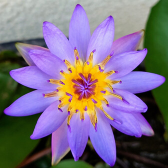 せんちゃん🚴🧗🏃‍♂️🚶‍♂️