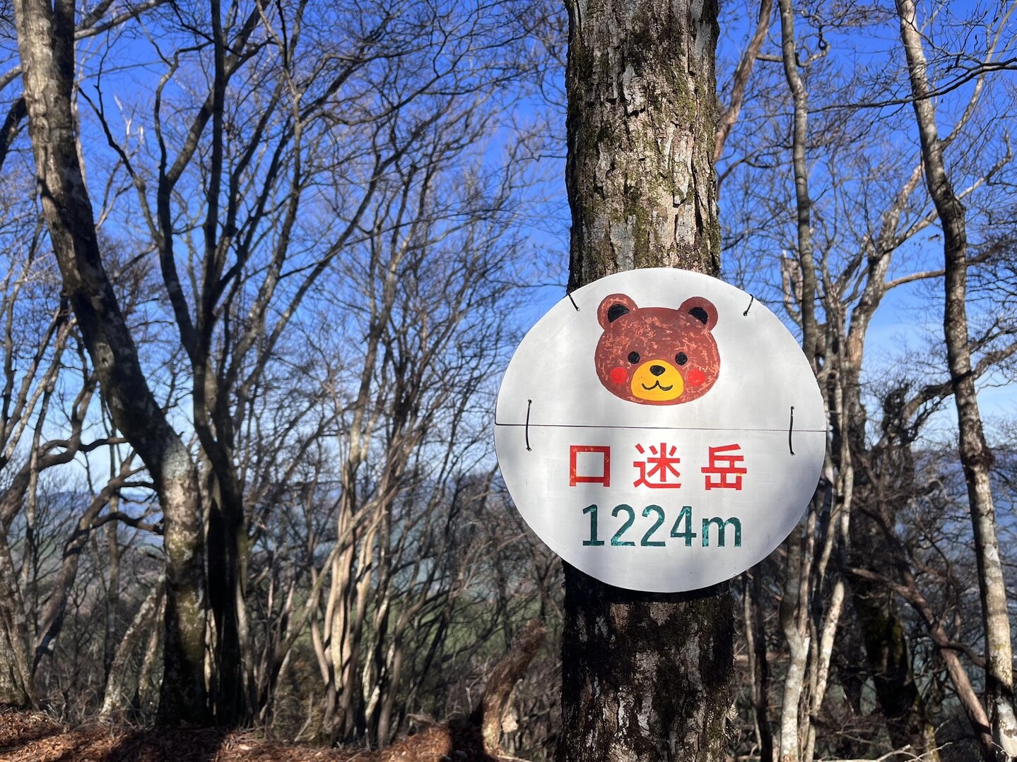 口迷岳・迷岳（八知山林道登山口） / あいさんの迷岳・白倉山・古ヶ丸山の活動データ | YAMAP / ヤマップ