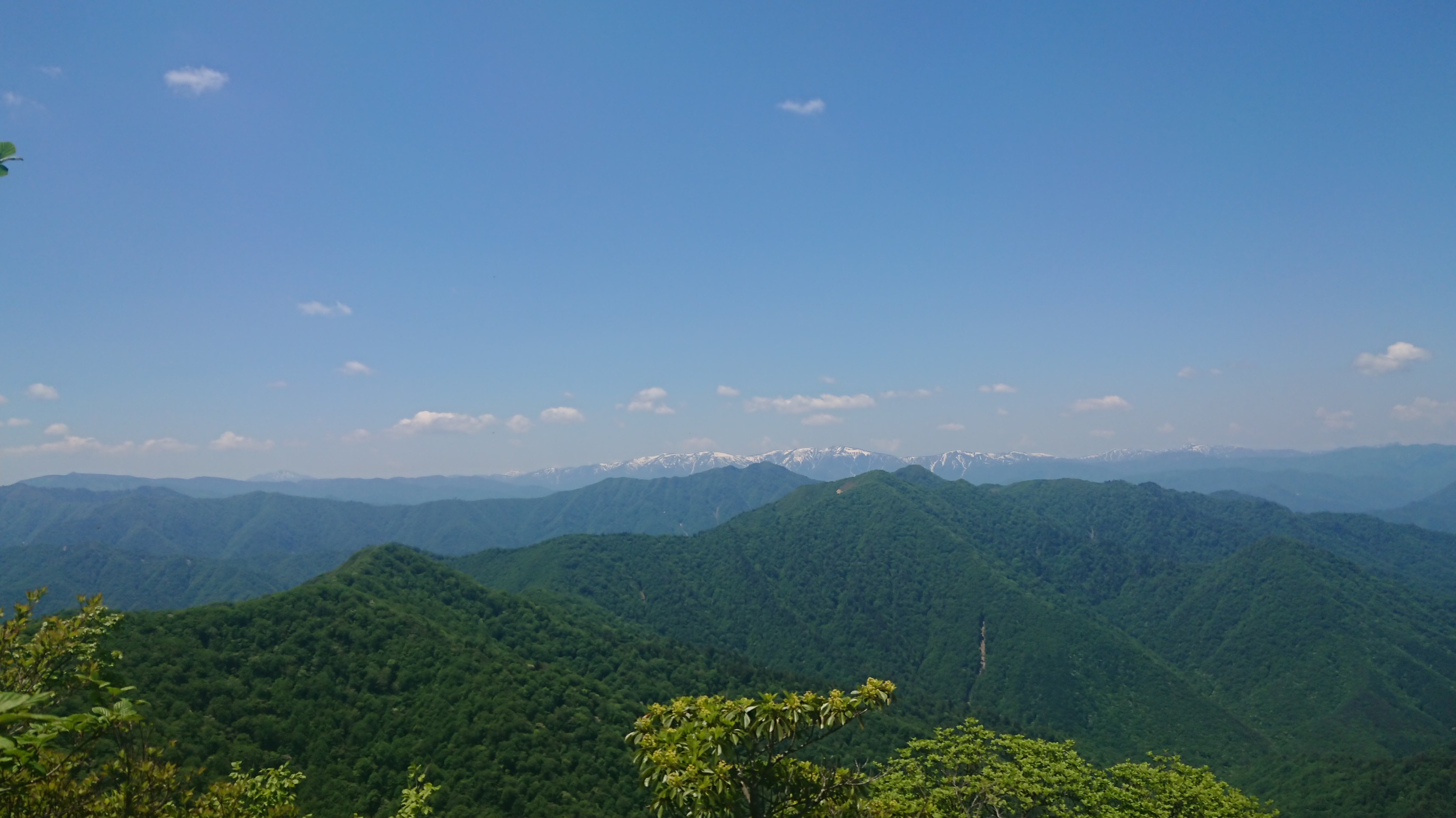 荒海山 太郎岳 三角点は薮の中 トトさんの荒海山 芝草山の活動データ Yamap ヤマップ
