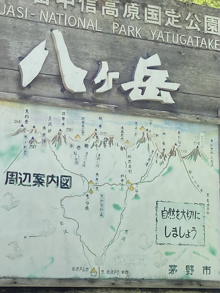 美濃戸の植物観察報告書 サニーさんの八ヶ岳 赤岳 硫黄岳 天狗岳 の活動日記 Yamap ヤマップ