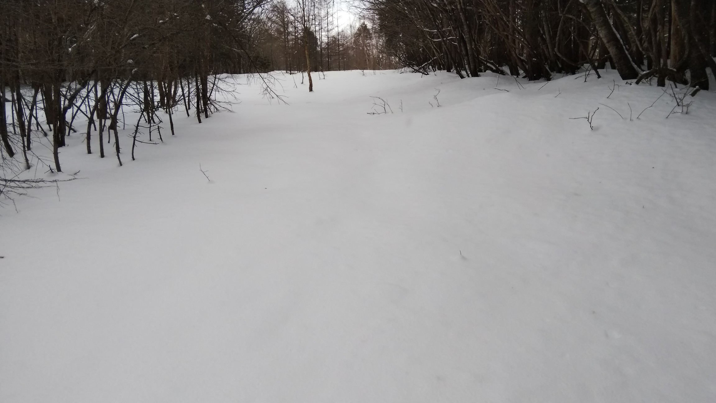 上が見えて来ました