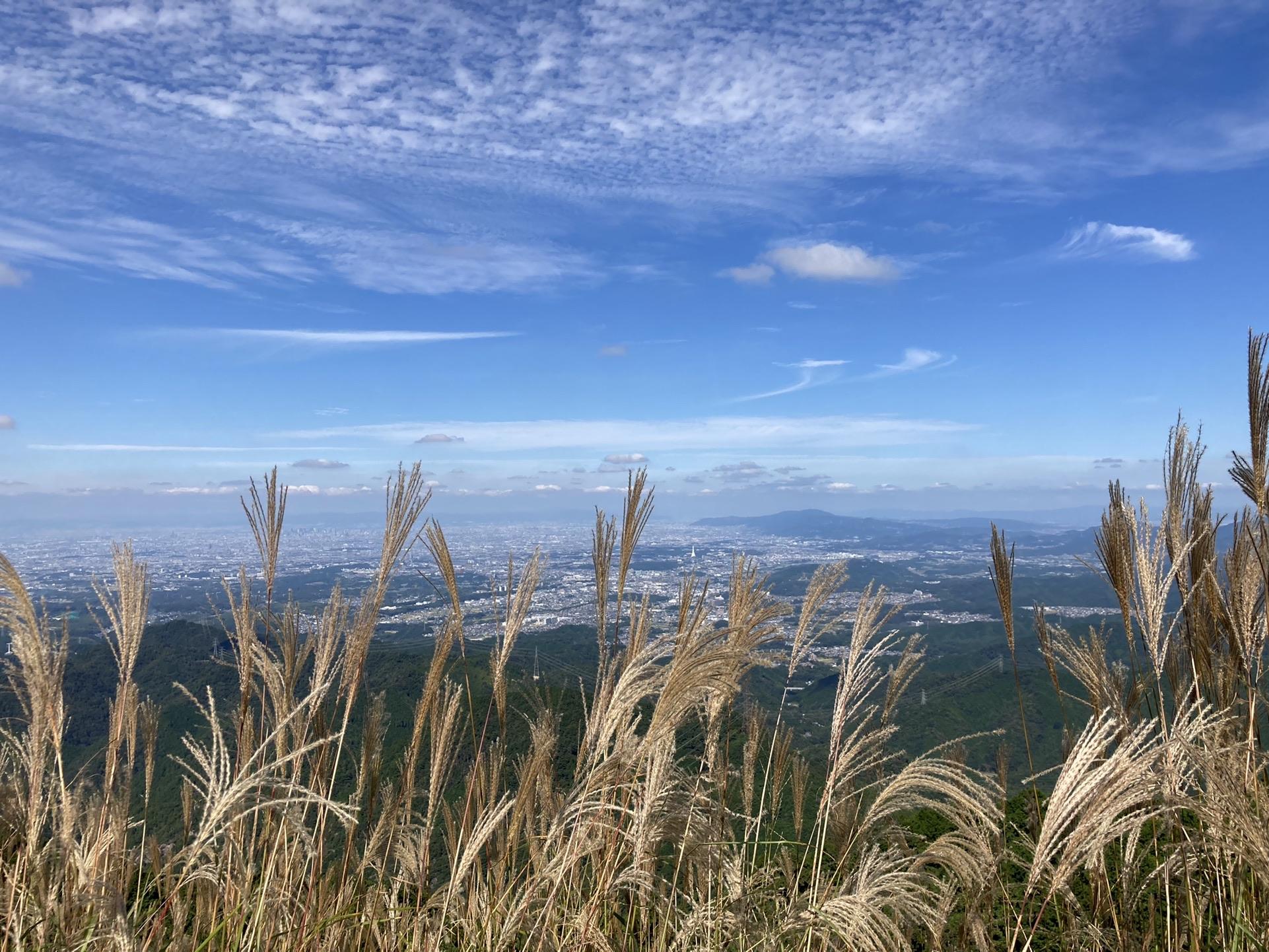 関西遠征 岩湧山 22 10 14 Aokatiさんの岩湧山 一徳防山 三石山の活動データ Yamap ヤマップ
