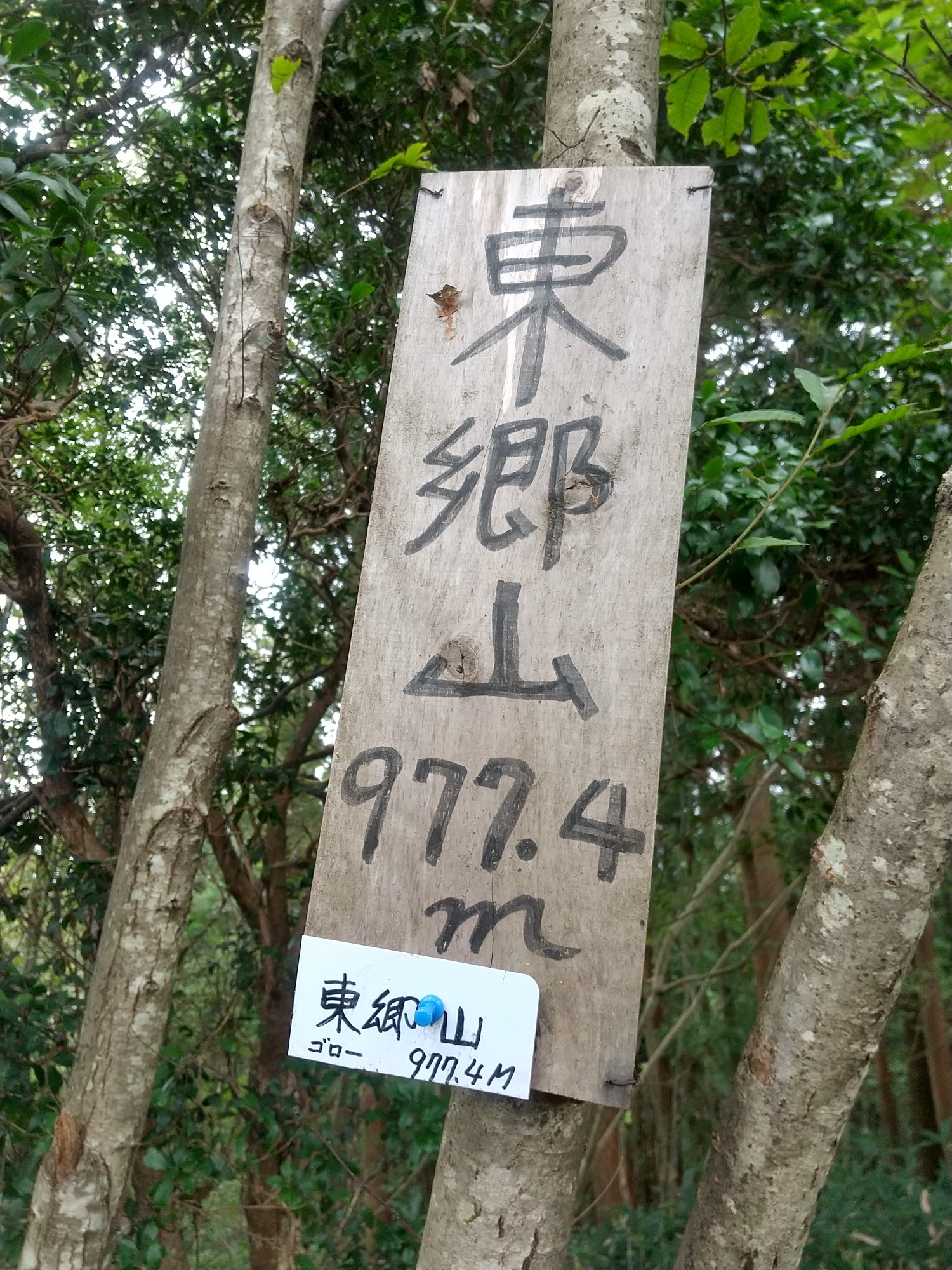 東郷山と / はなださんの東郷山の活動データ YAMAP / ヤマップ