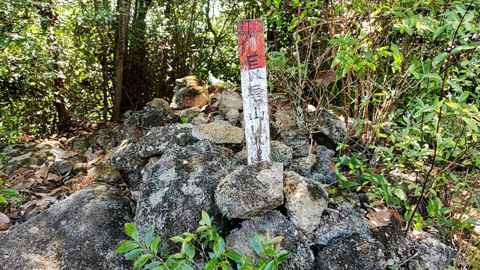 長尾山 / だからよさんの長尾山・烏帽子岳の活動データ YAMAP / ヤマップ