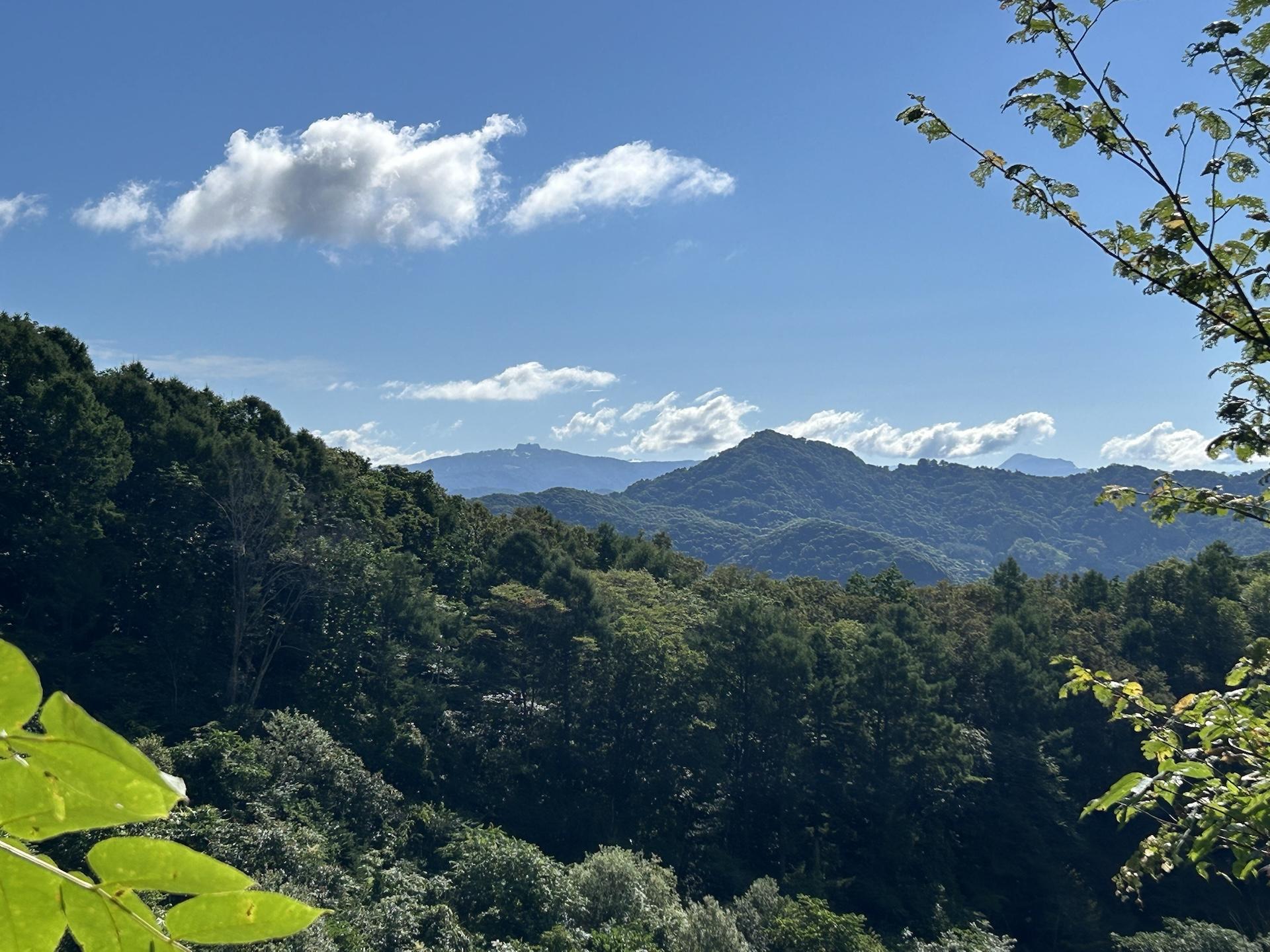 礼文華山道⛰️礼文華峠&小幌駅 / アンディさんの礼文華峠の活動データ | YAMAP / ヤマップ