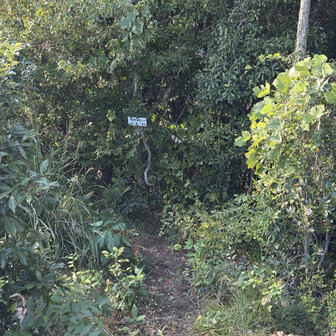 以前から気になっていた、十郎新道から下山します。