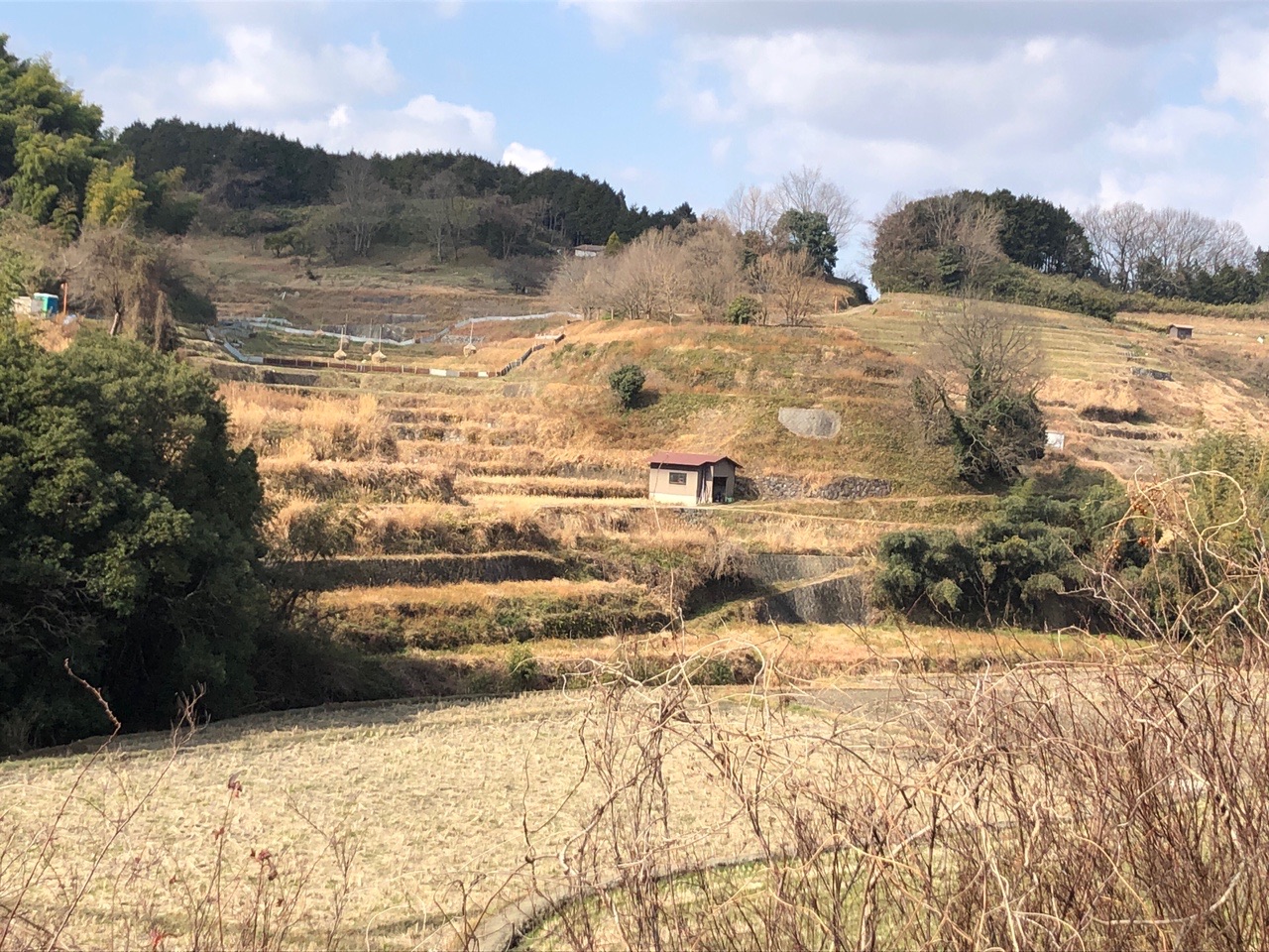 高取山 棚田は季節はずれですね