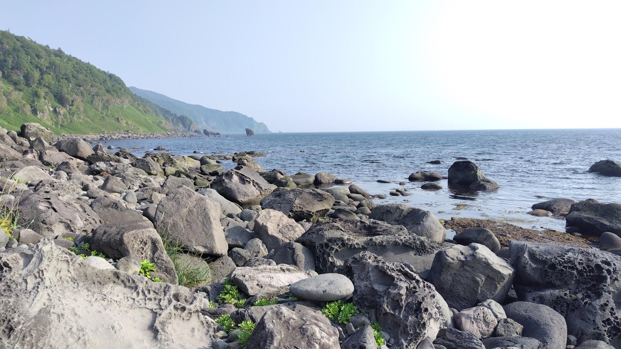 たまに後ろを振り返ったり。