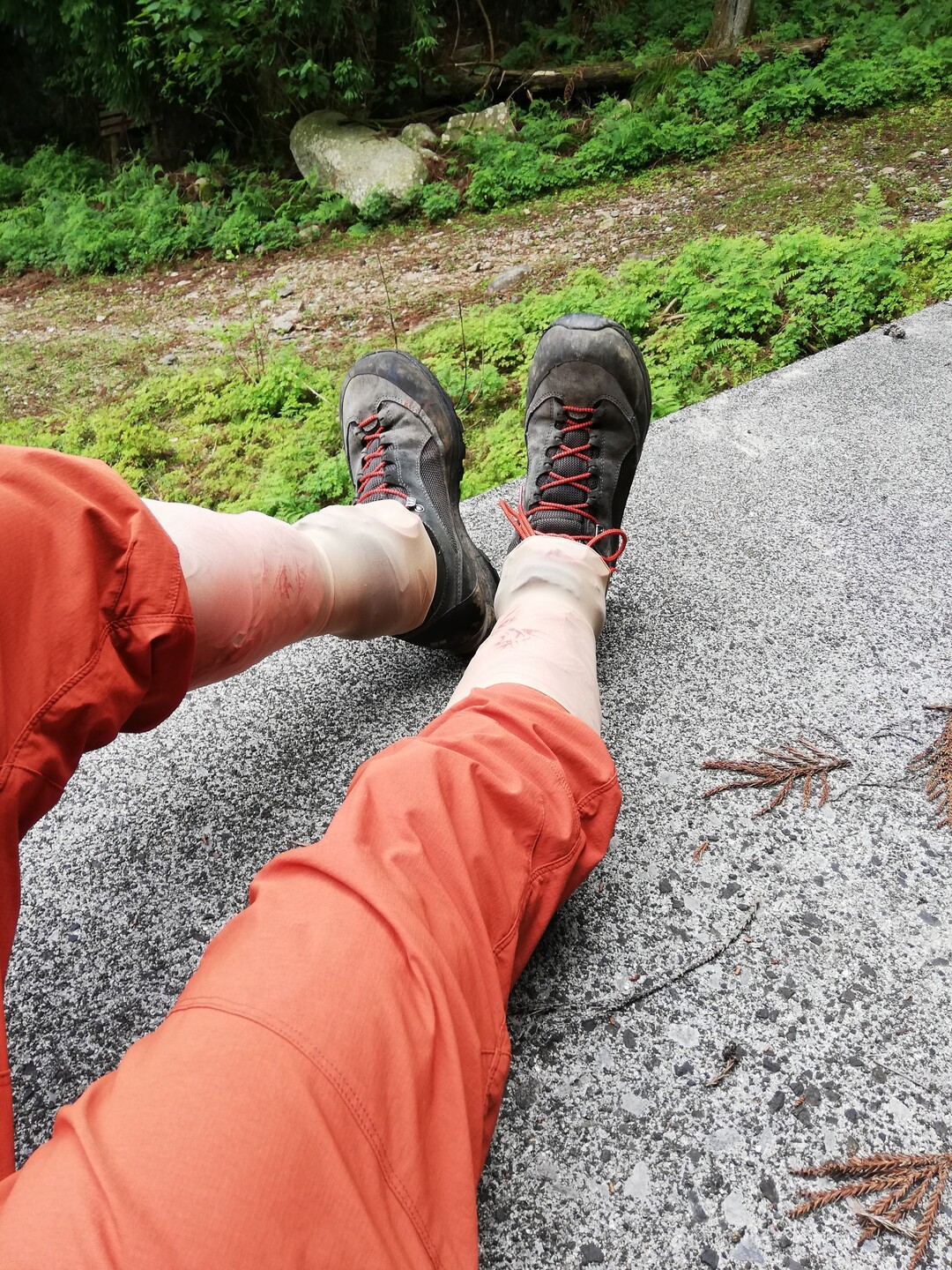 パンスト大作戦 ラスト亀山7座 仙ヶ岳 うたおさんの入道ヶ岳 鎌ヶ岳 仙ヶ岳の活動日記 Yamap ヤマップ