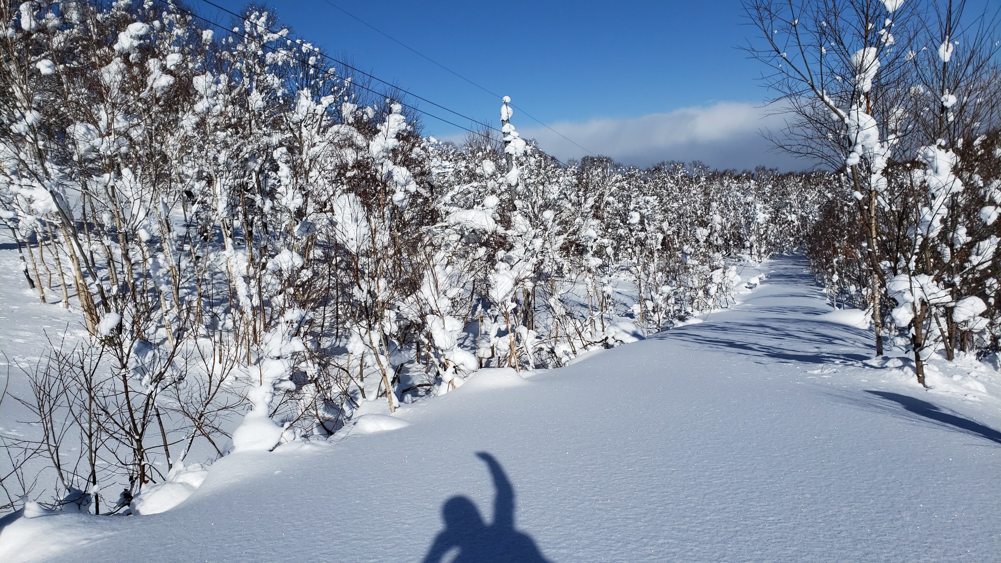 毛無峠 21 01 06 小太郎さんの朝里天狗岳の活動データ Yamap ヤマップ