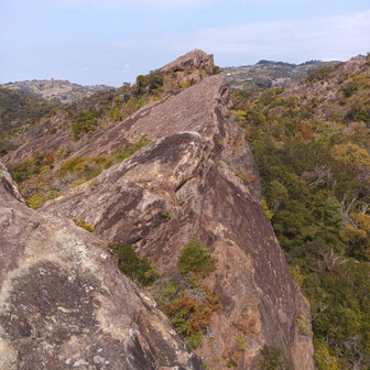 田辺市・高尾山・龍神山・奇絶峡 三匹のヒキガエル。ひき岩群の名前の由来ですね。