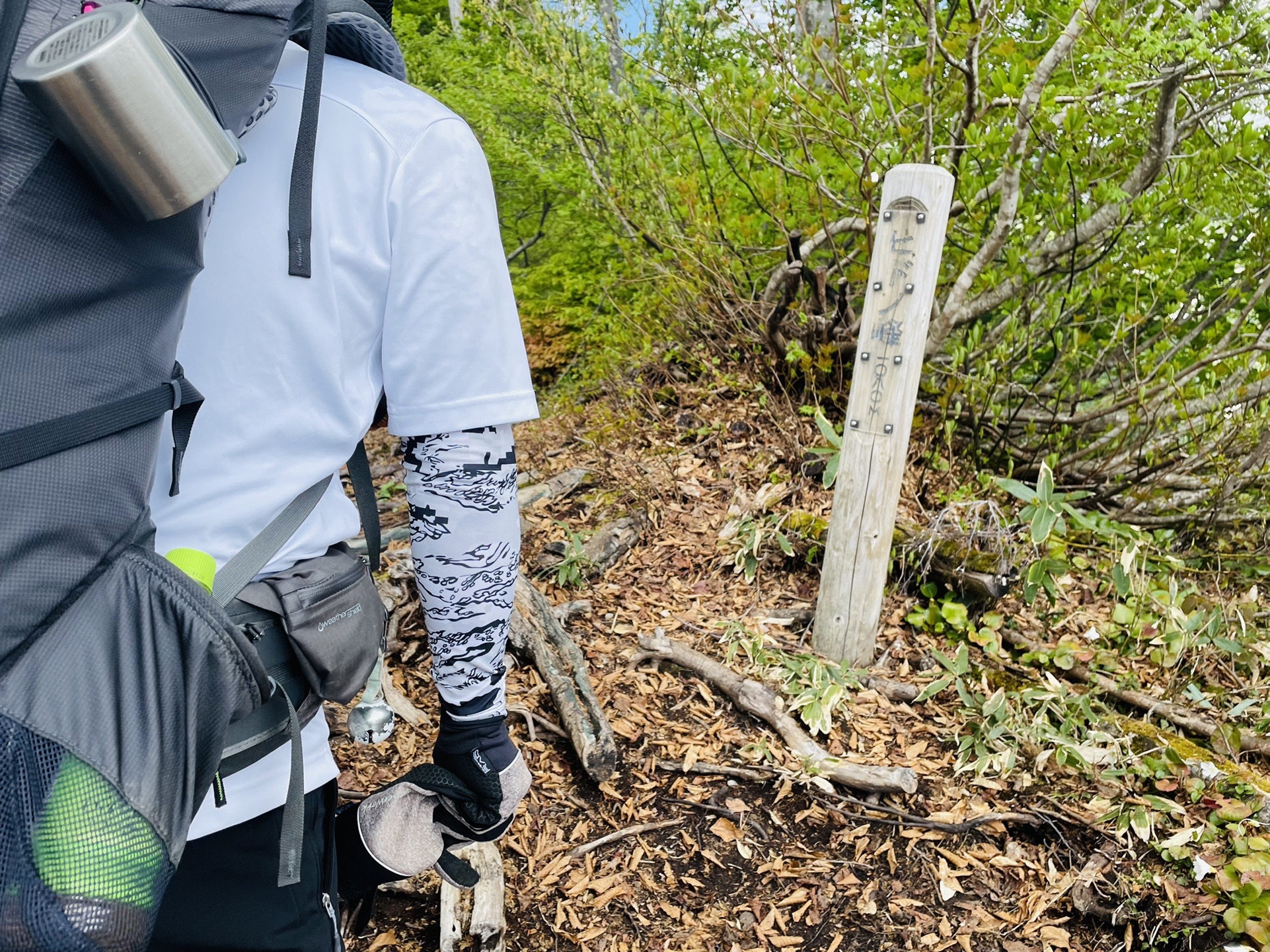 やっと( ；´Д｀)