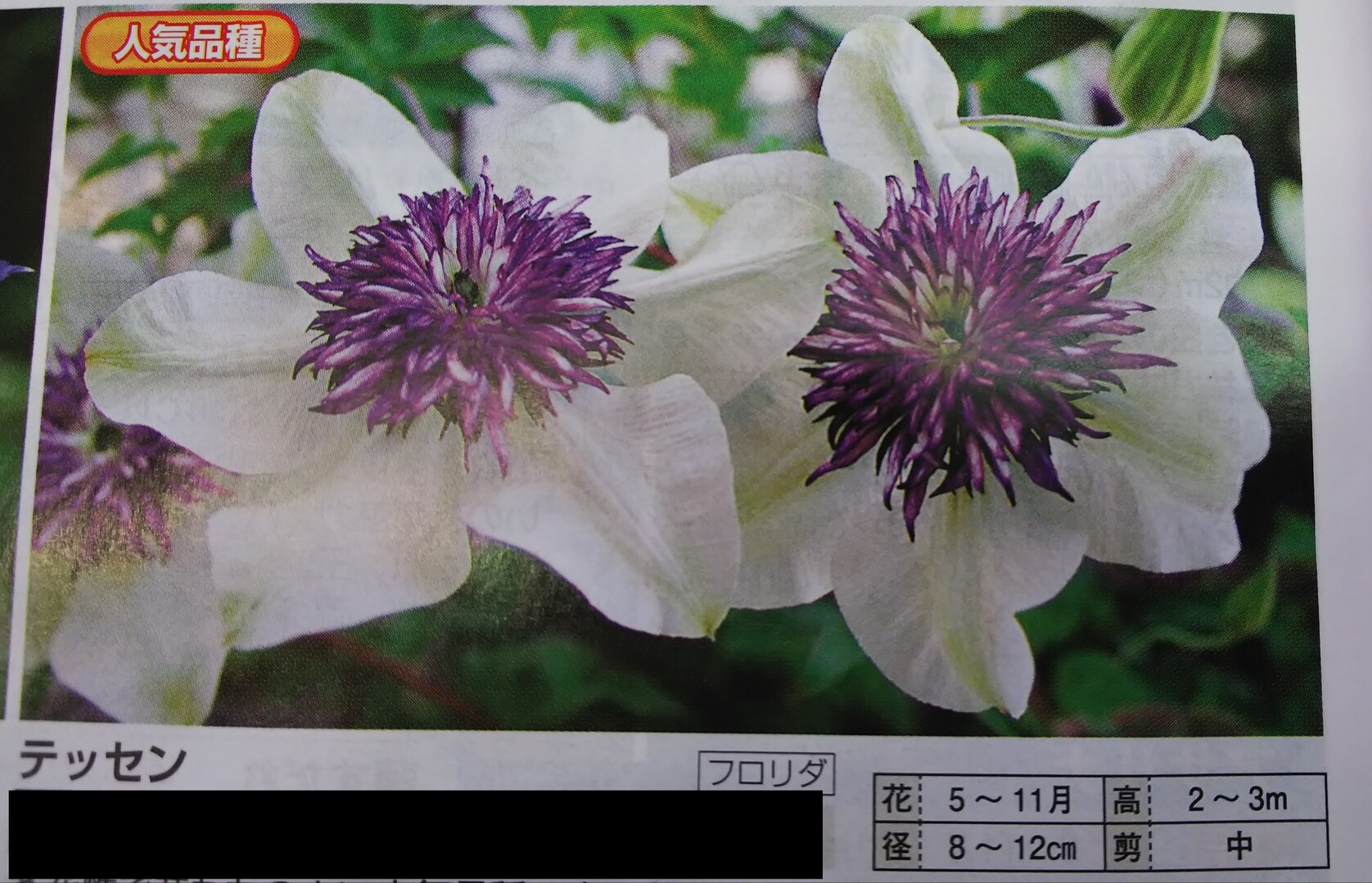 先日登ったお山の名前が 鉄山 と書いて ナオさんのモーメント Yamap ヤマップ