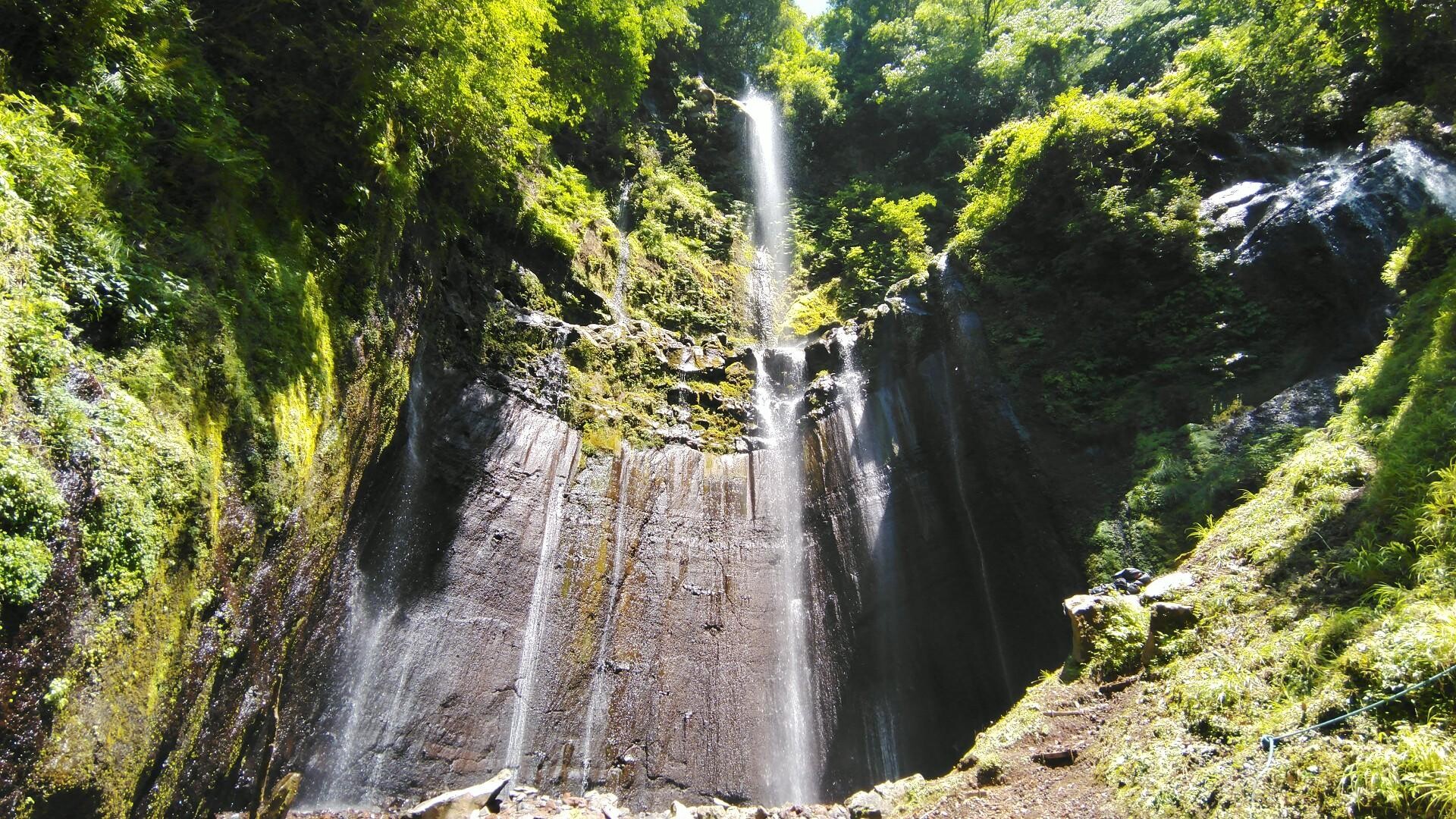 霧島山縦走 / むこさんの霧島山・韓国岳・高千穂峰・夷守岳・烏帽子岳の活動データ | YAMAP / ヤマップ