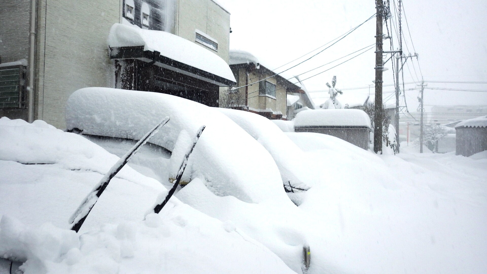 山は山でも雪の山 独楽吟 好さんの足羽山 八幡山 兎越山の活動日記 Yamap ヤマップ