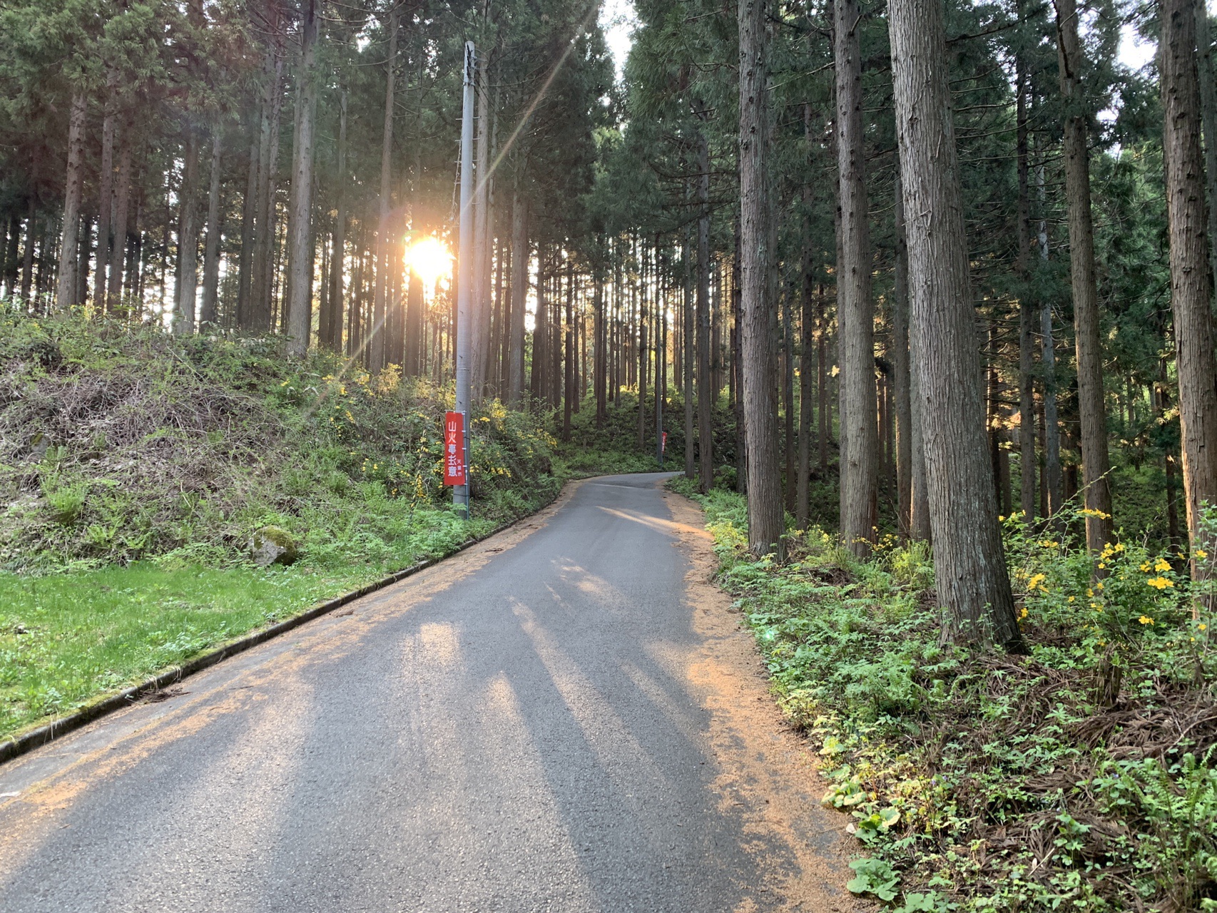 雨呼山 鵜沢山 撤退 ほんのろさんの面白山 神室岳 雨呼山の活動日記 Yamap ヤマップ