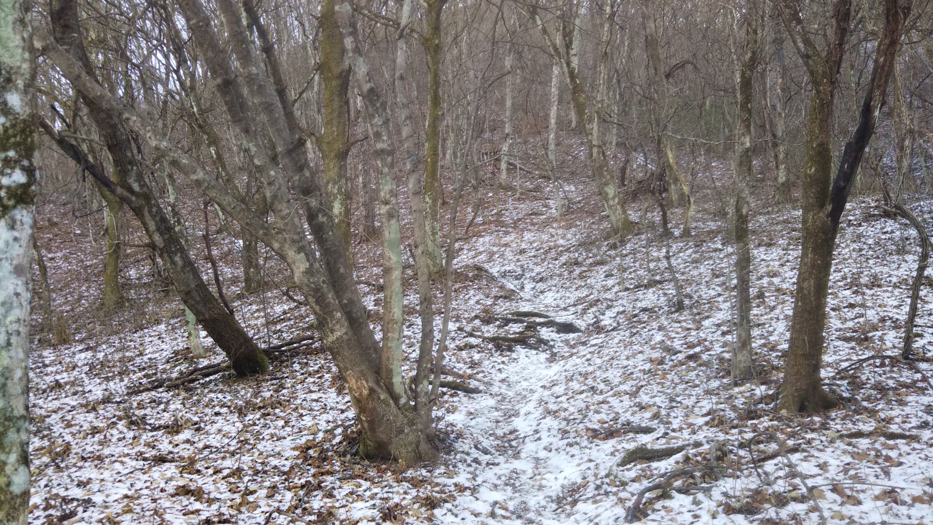 18きっぷで北へ 冠雪の榛名湖ぐるっと１周 ベイナスさんの榛名山 天狗山 天目山の活動データ Yamap ヤマップ