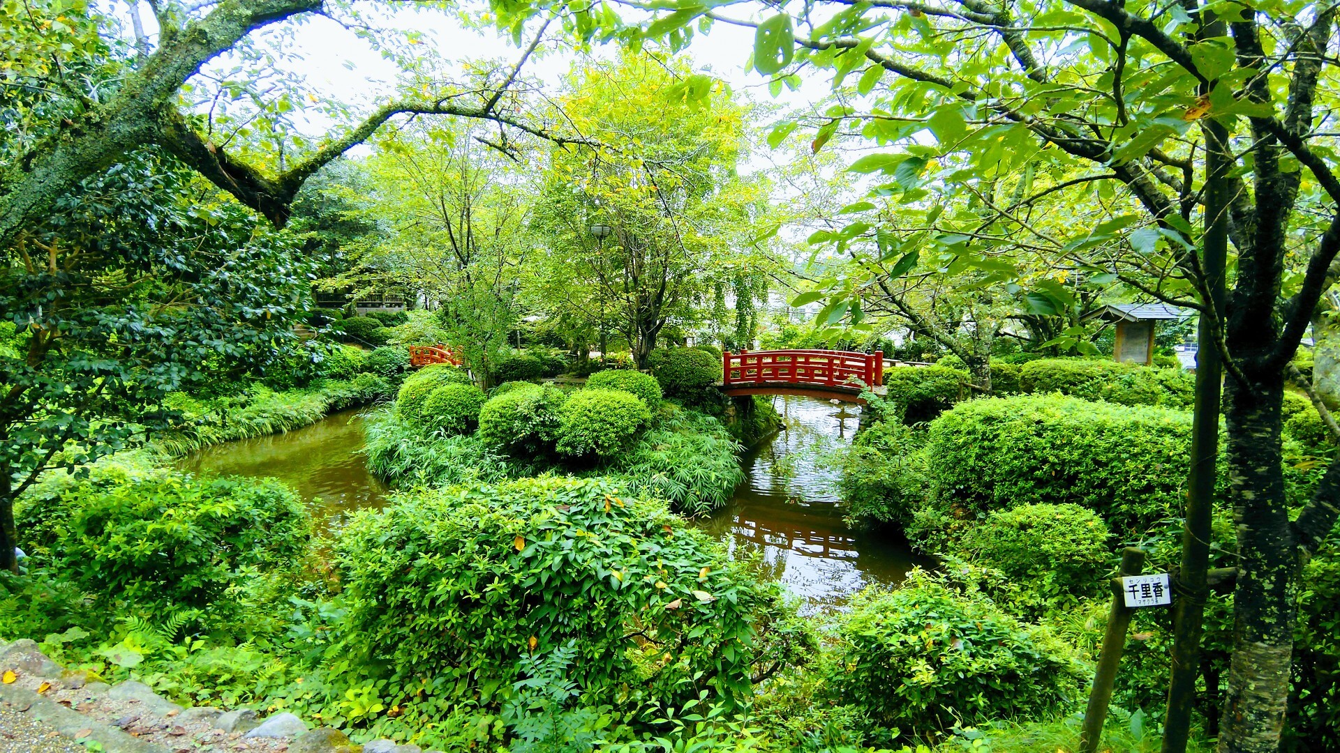 中国百名山 打吹山 さとぽんさんの鳥取市の活動日記 Yamap ヤマップ