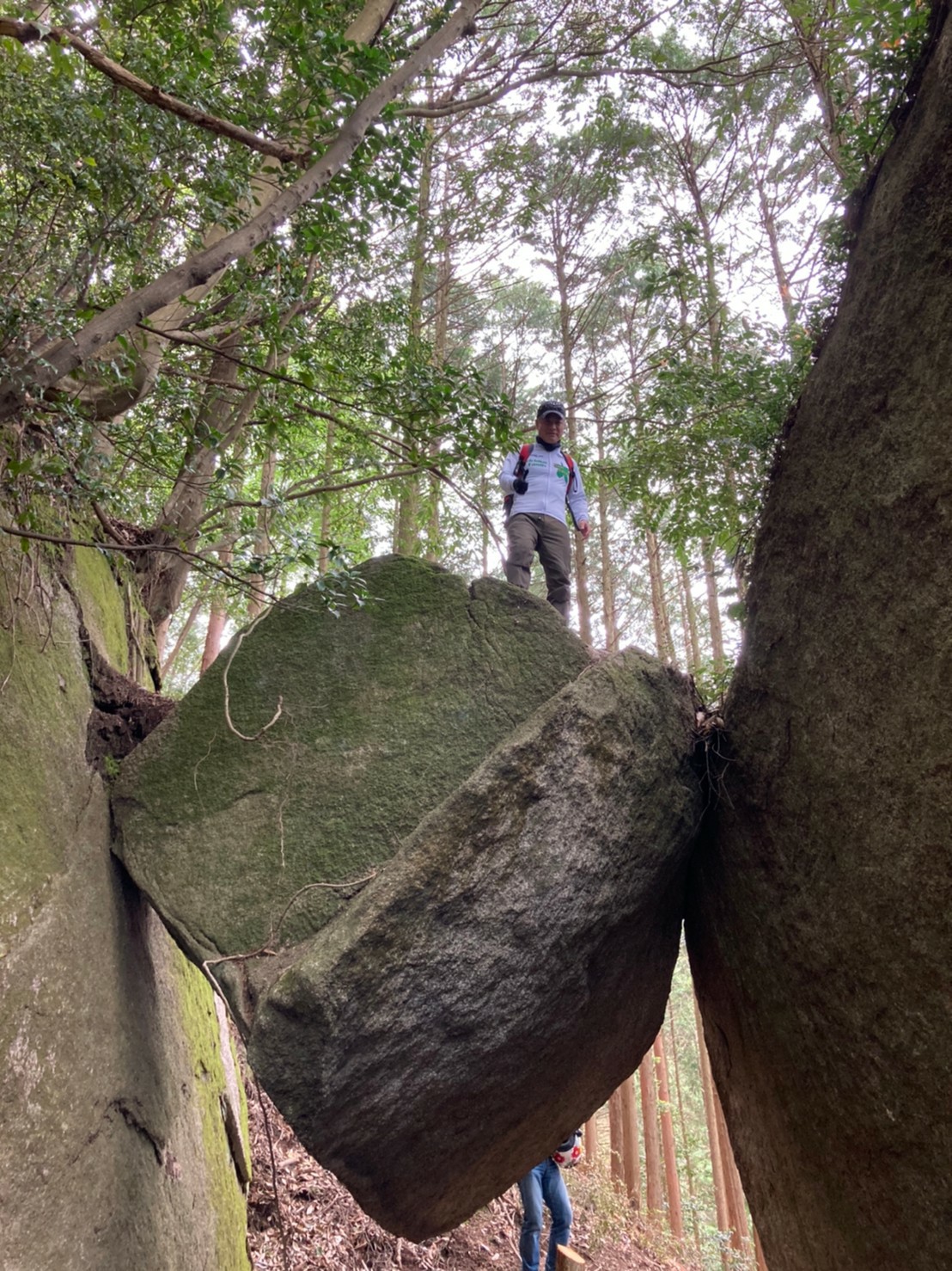 落ちそうで落ちない岩で力比べ Shuncellaraさんの岩石山 岩石城 の活動データ Yamap ヤマップ