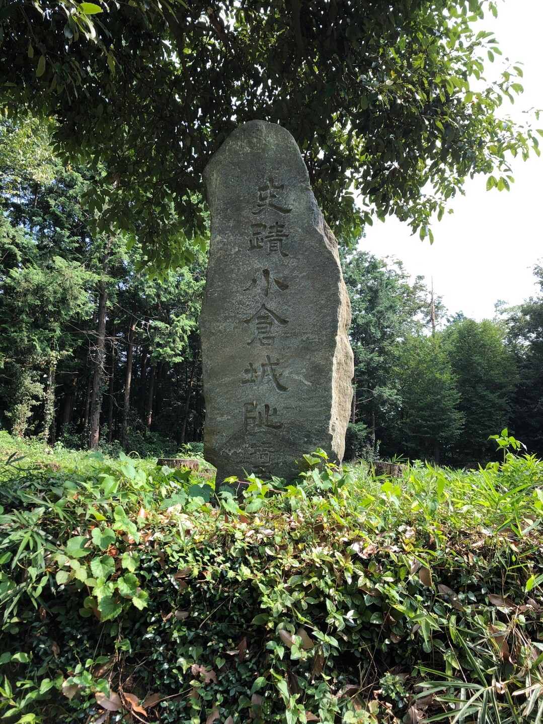 城跡巡りトレーニング 仙元山 青山城 小倉城 菅谷館跡 阿炎錦さんの武蔵嵐山 大平山 仙元山の活動データ Yamap ヤマップ