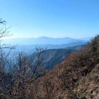 箱根と伊豆方面の山。