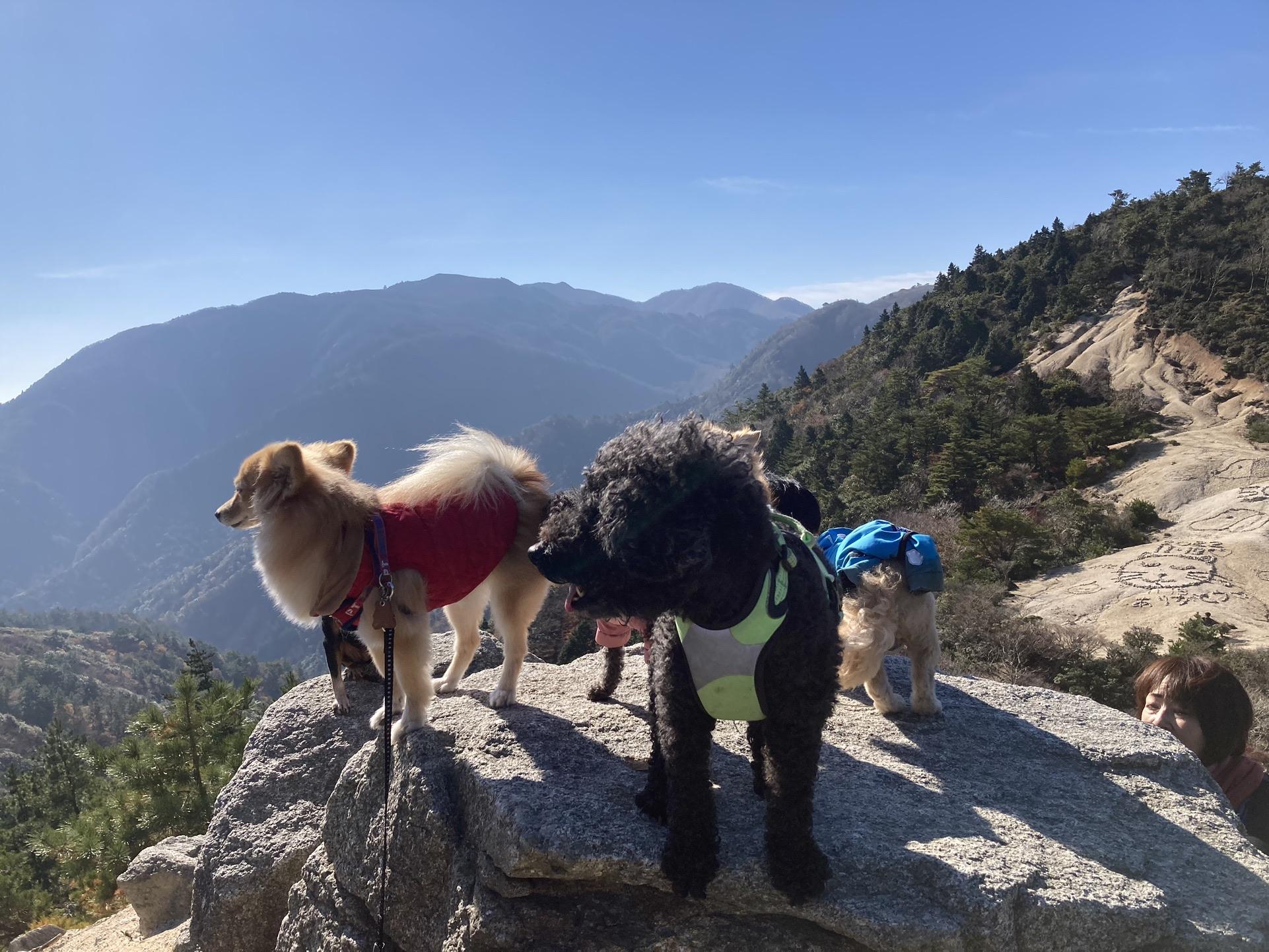 釈迦ヶ岳 ワンズはお立ち台に