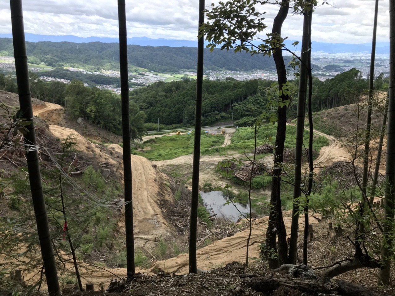 生駒山・神津嶽・大原山 下にフラワーロードが見えます。