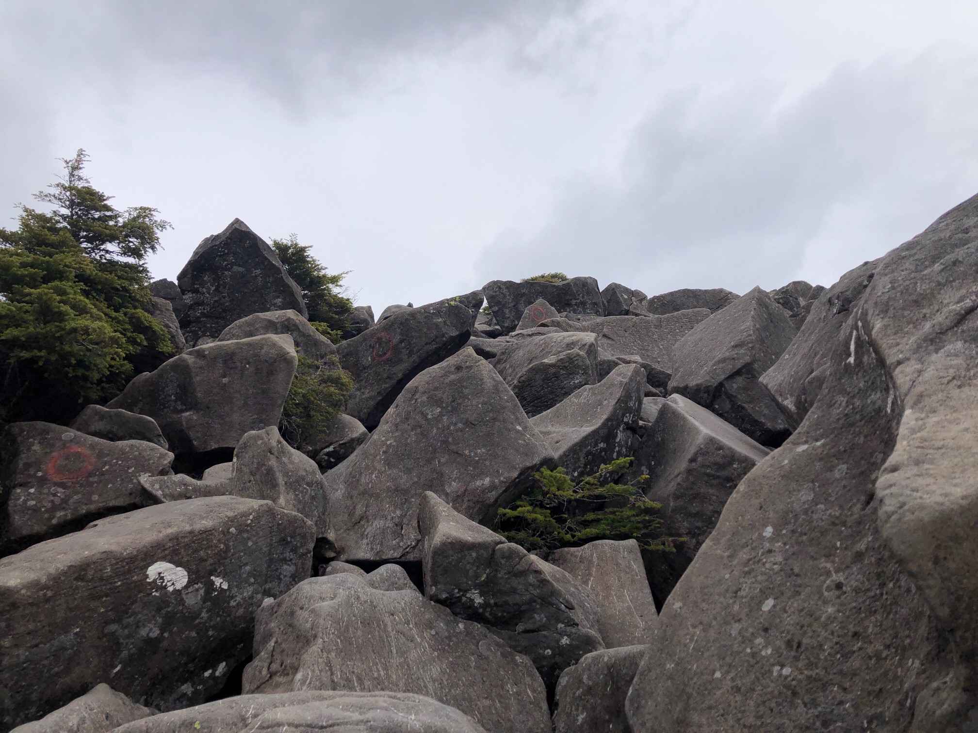 僅かですが、スリリングが楽しめる