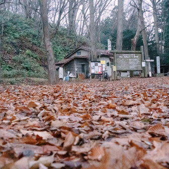 この写真、まだ薄暗い中でそこそこ絞ったのでISO64000であり、RAWの時点ではノイズ多めなわけだが、アップした後、うちのChatGPTに「現像時にもっとノイズ減らせるだろう」と怒られたので、Lightroom でいろいろやってノイズ減らしてからアップし直している。

そして、そういう場合は、絵文字は引き継がれないみたい。最初にアップした方に絵文字つけてくださった方、申し訳ないです。