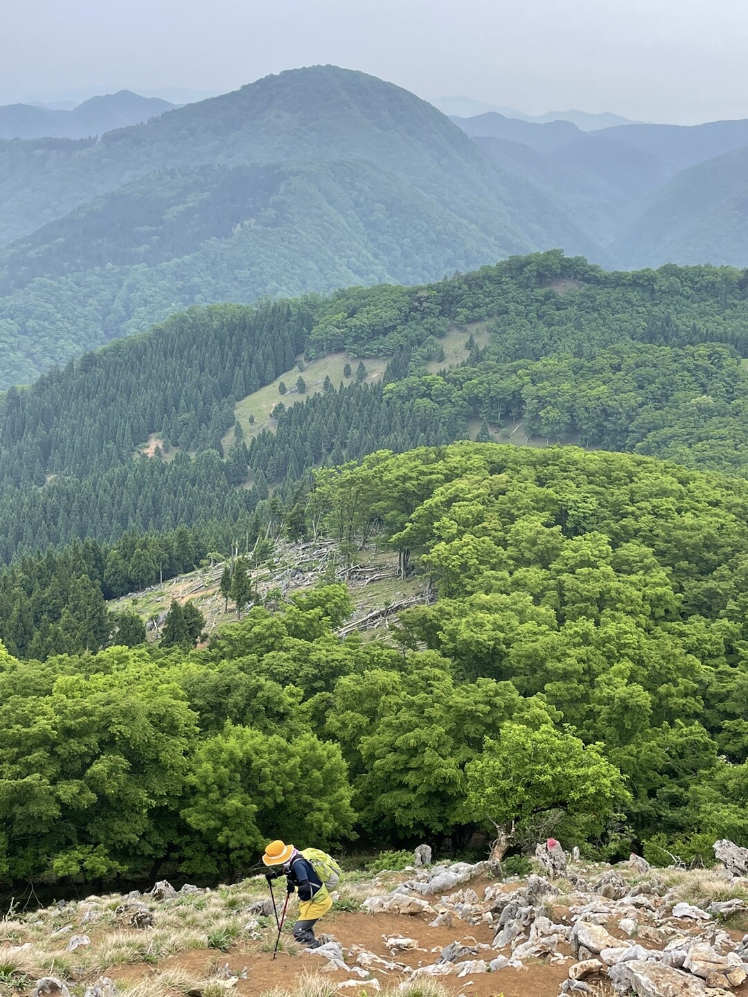 南霊岳・霊仙山最高点・霊仙山・経塚山 / okarina334さんの霊仙山の活動データ YAMAP / ヤマップ