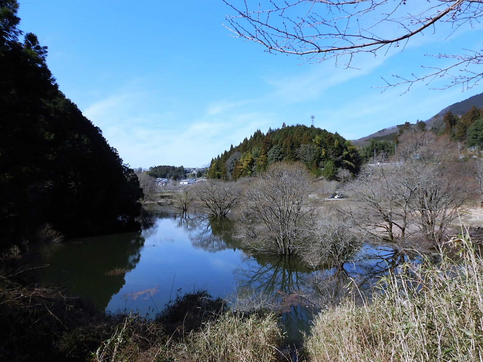 21 03 11 陽春の室生ダム湖畔ウォーク 中今老人さんの額井岳の活動データ Yamap ヤマップ