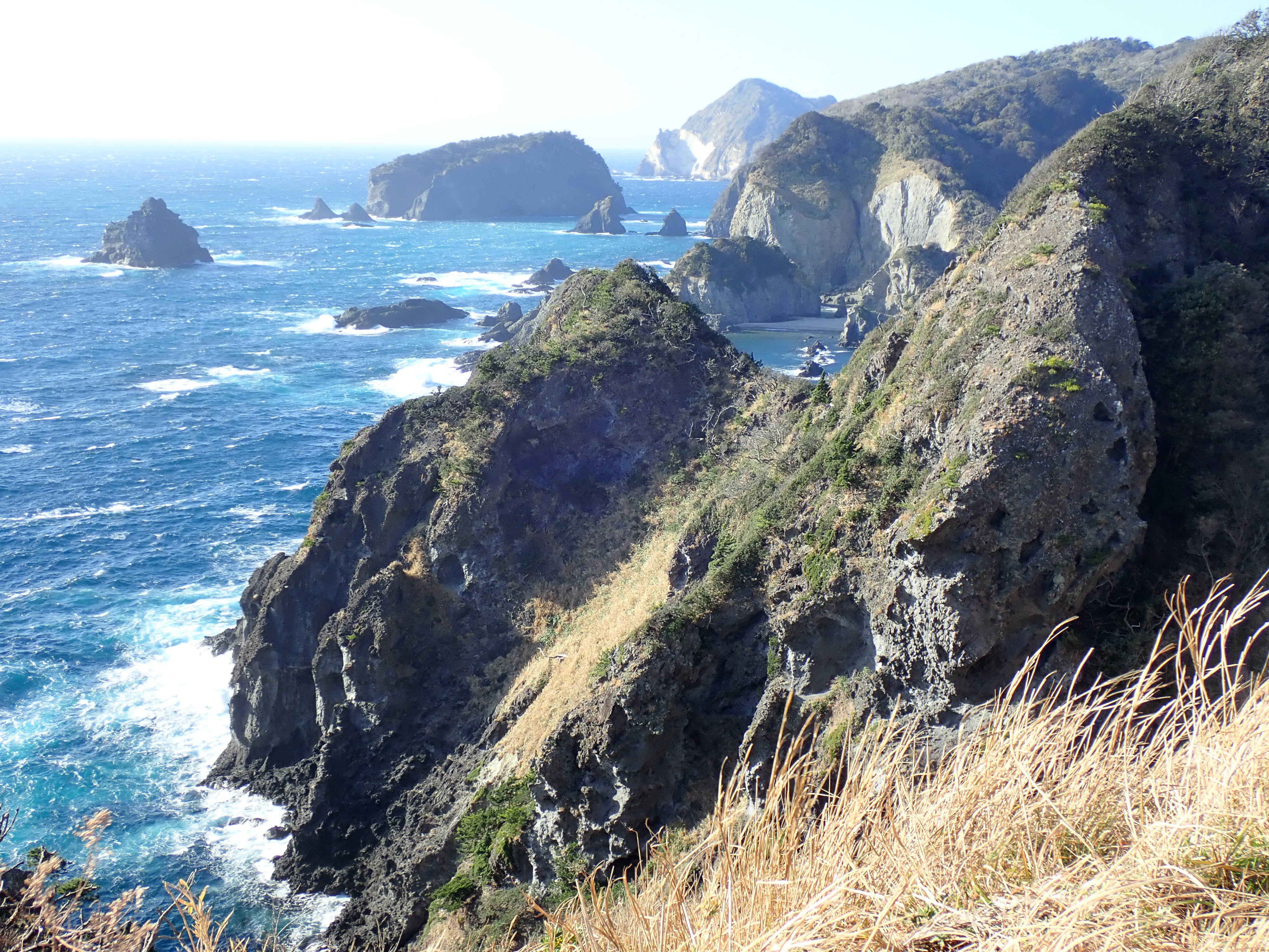 南伊豆 岩地海岸 石廊崎 1 11 1 13 Mikaさんの暗沢山 大峠 長者ヶ原の活動データ Yamap ヤマップ